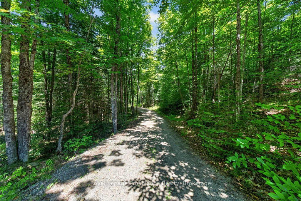 3201 River Road, North Frontenac, ON K0H 1C0 photo 4