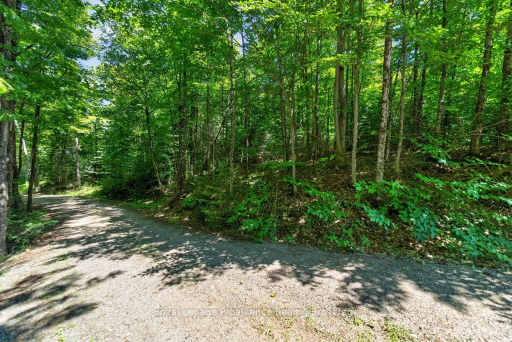 3201 River Road, North Frontenac, ON K0H 1C0 photo 5