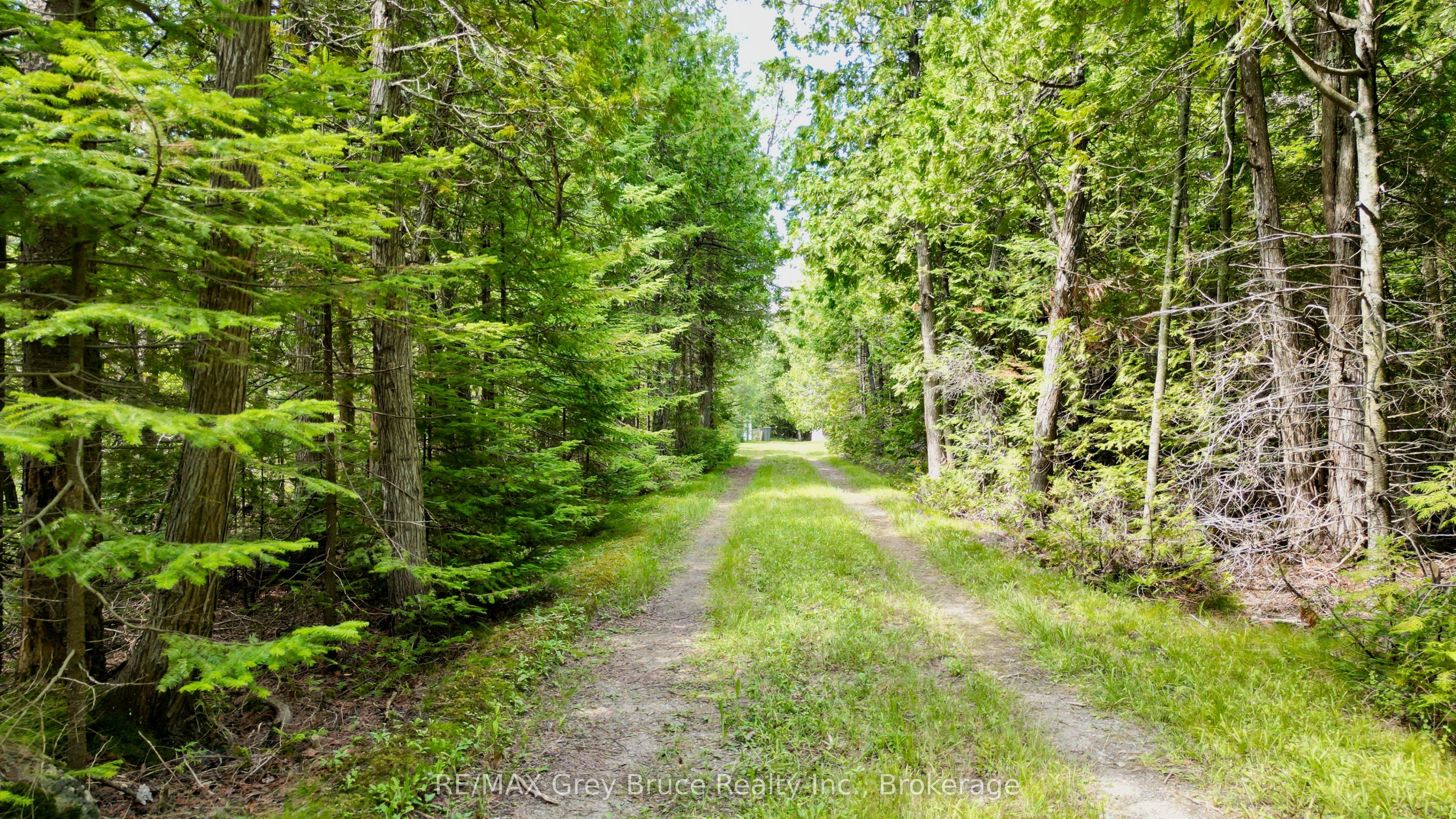 123 Fowlie Road, Northern Bruce Peninsula, ON N0H 1W0 photo 5