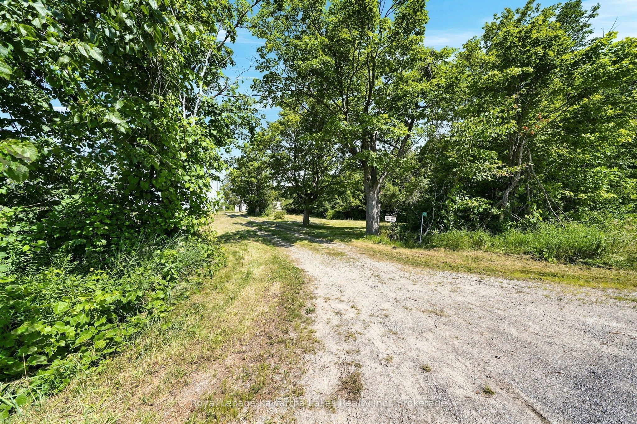 289 Somerville 3rd Court, Kawartha Lakes, ON K0M 1N0 photo 4