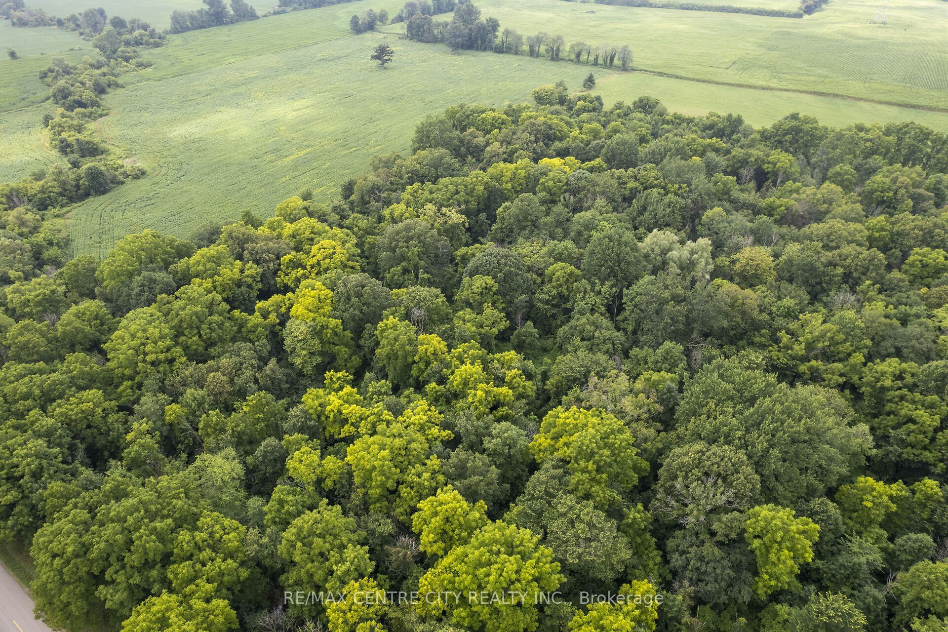 23891 Sutherland Road, Strathroy-Caradoc, ON N0L 1W0 photo 3