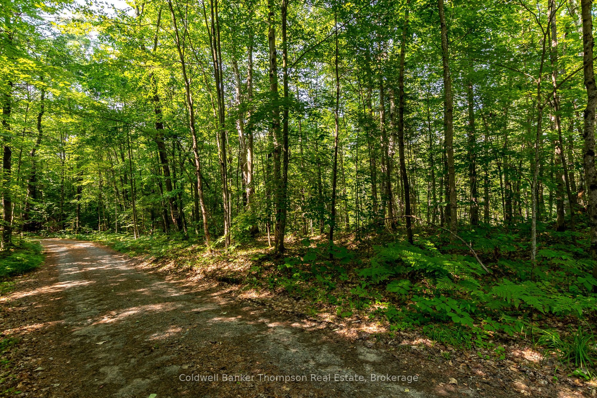 1544 South Lancelot Road, Huntsville, ON P0B 1M0 photo 5
