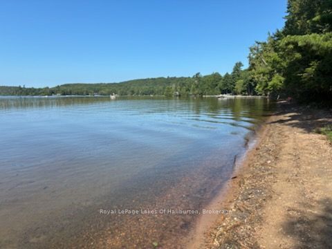 1046 Placid Lane, Algonquin Highlands, ON K0M 1S0 photo 4