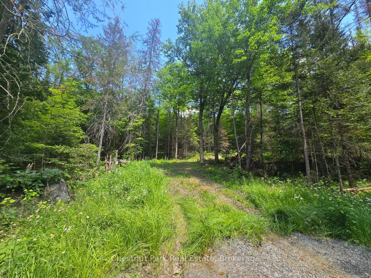 1630 Midlothian Road, Ryerson, ON P0A 1C0 photo 2