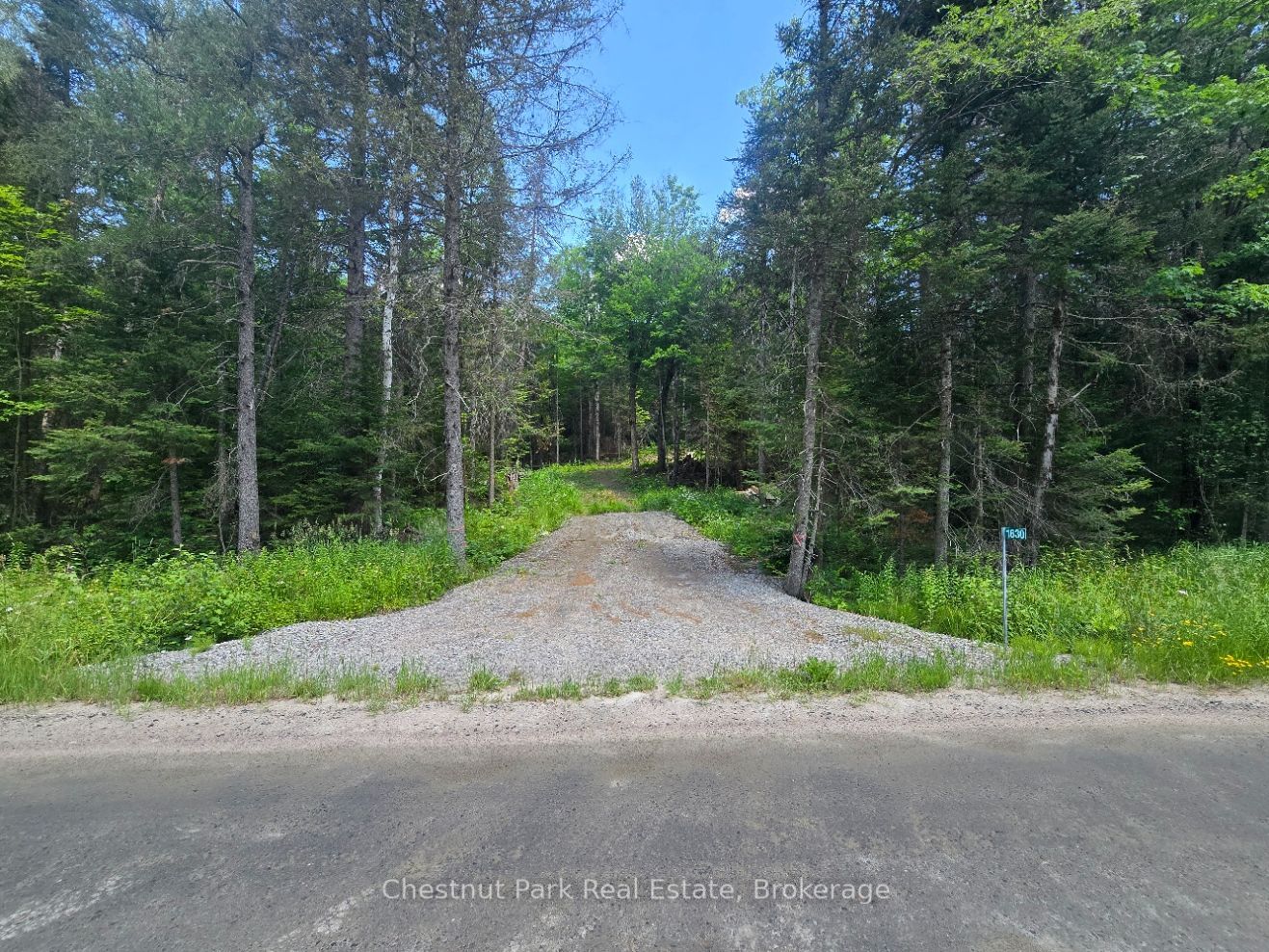 1630 Midlothian Road, Ryerson, ON P0A 1C0 photo 3
