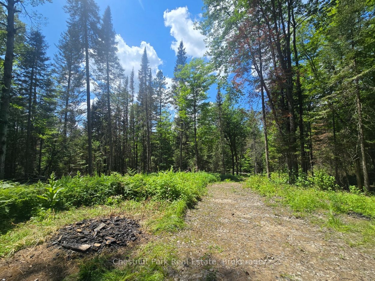 1630 Midlothian Road, Ryerson, ON P0A 1C0 photo 4