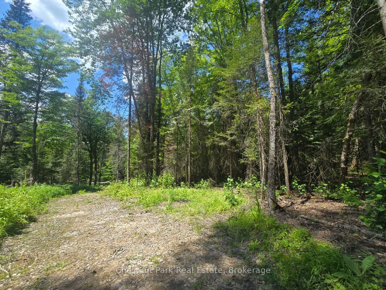 1630 Midlothian Road, Ryerson, ON P0A 1C0 photo 5