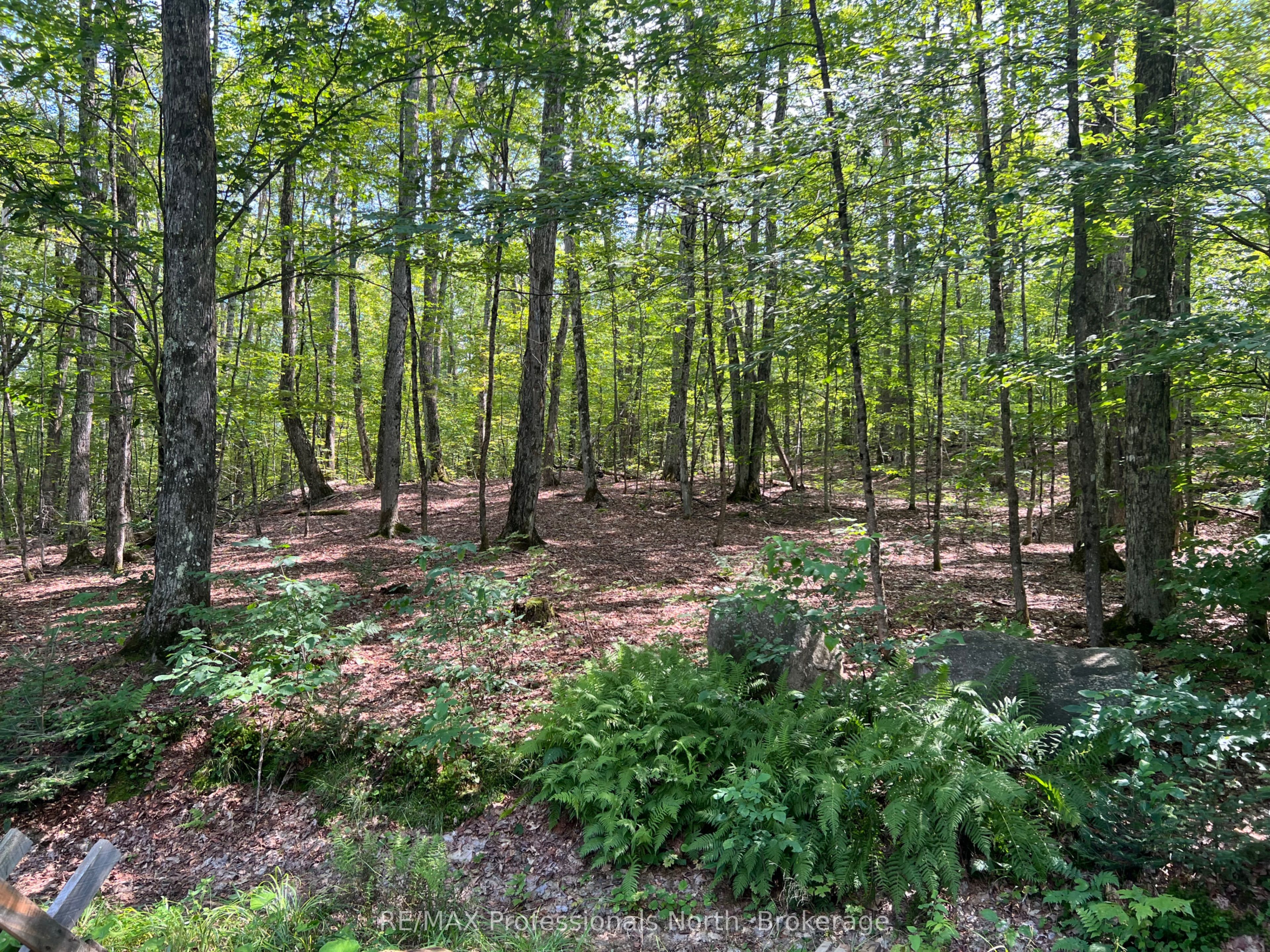 LOT 9 Concession 3, Perry, ON P0A 1R0 photo 5