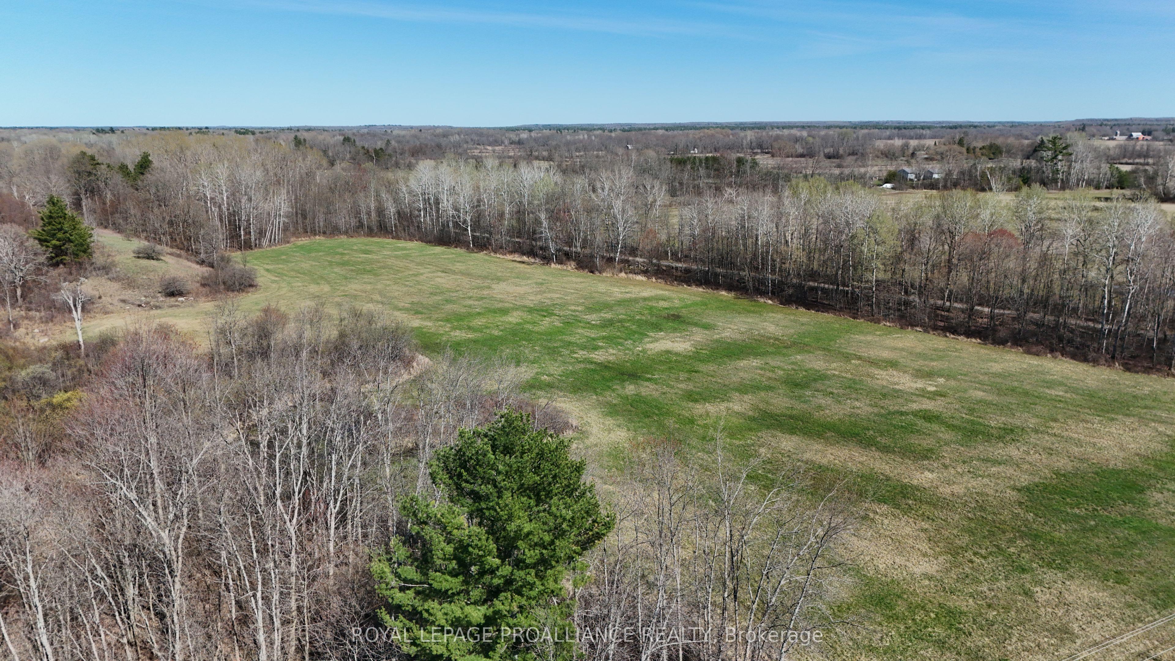 1306 Sulphide Road, Tweed, ON K0K 3J0 photo 4