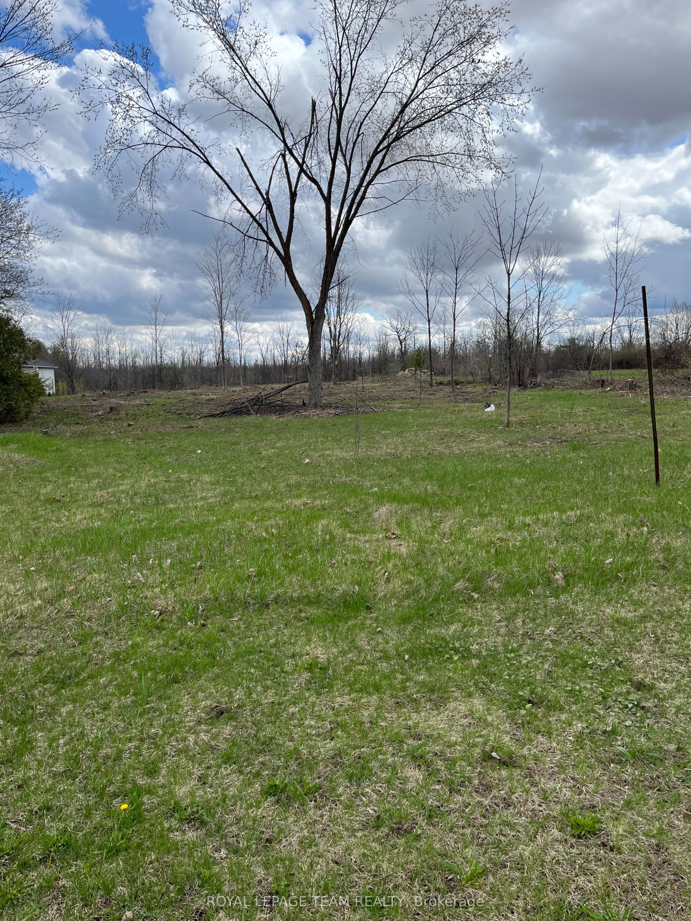 8645 Bank Street, Greely - Metcalfe - Osgoode - Vernon and Area, ON K0A 3J0 photo 4
