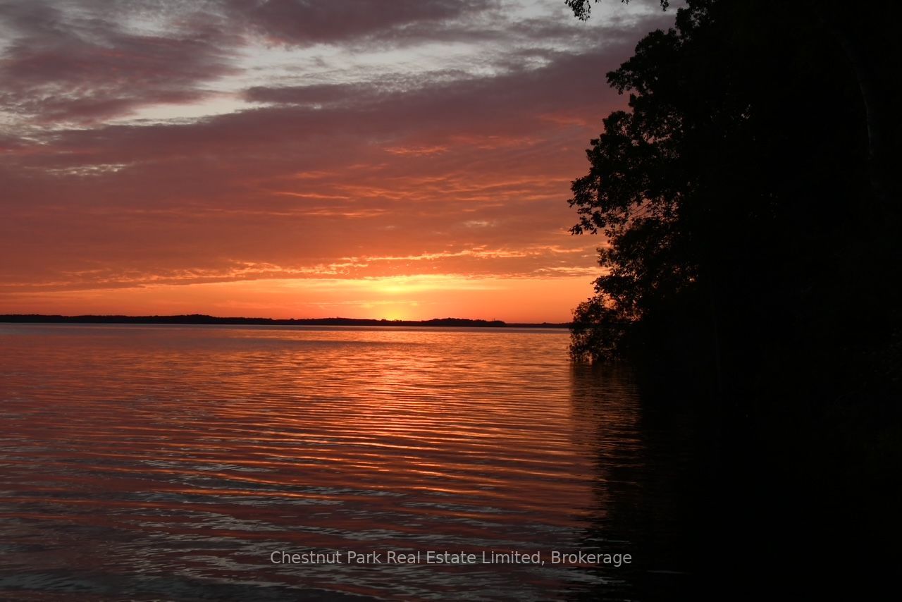 4 Trumble Lane, Prince Edward County, ON K0K 2T0 photo 4