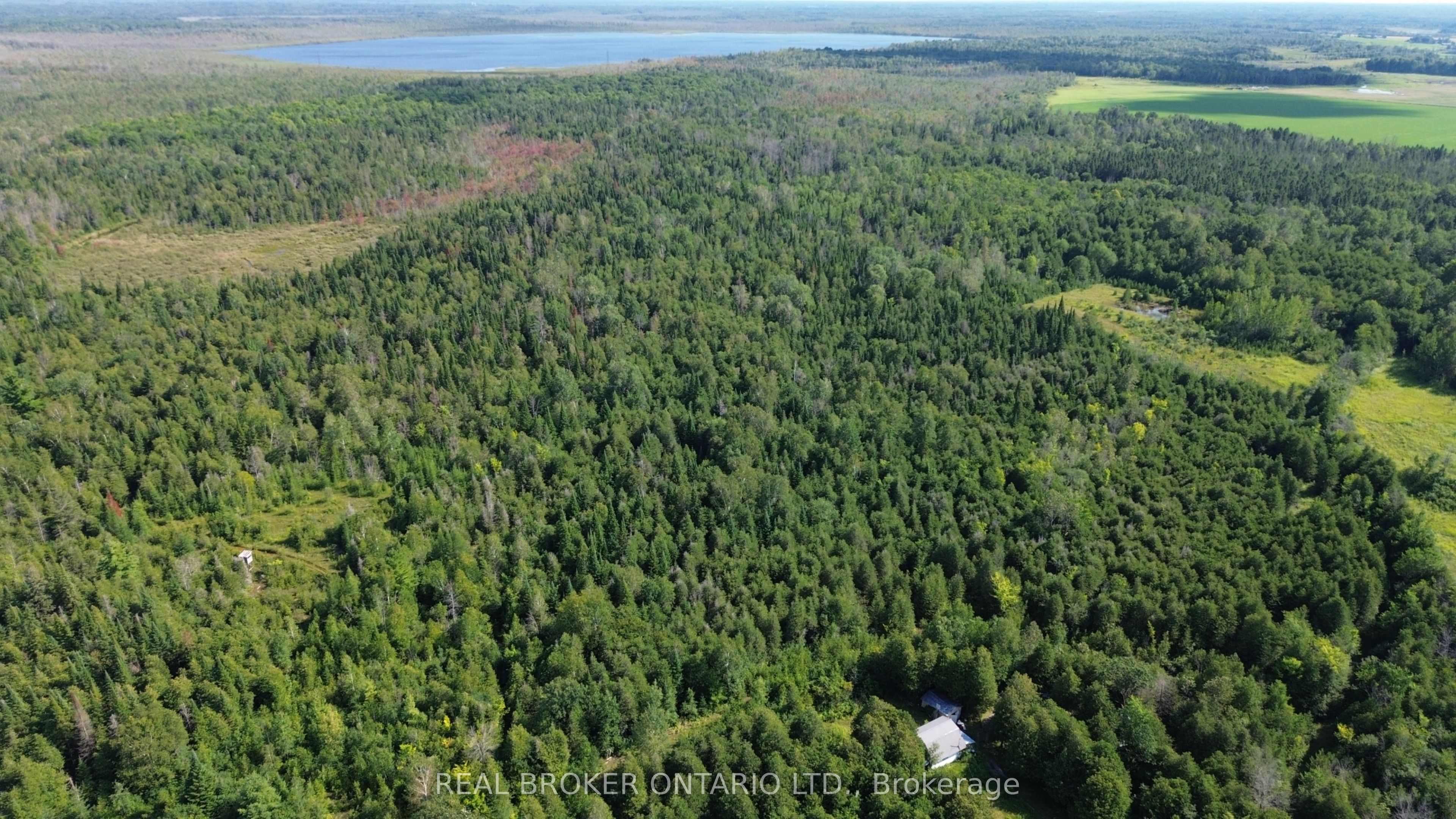 12830 County 15 Road, Merrickville-Wolford, ON K0G 1N0 photo 5