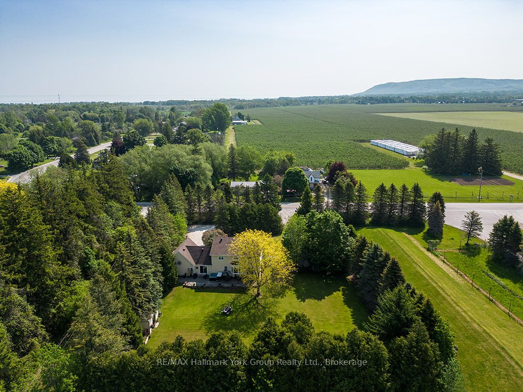 788267 Grey 13 Road, Blue Mountains, ON N0H 1J0 photo 4