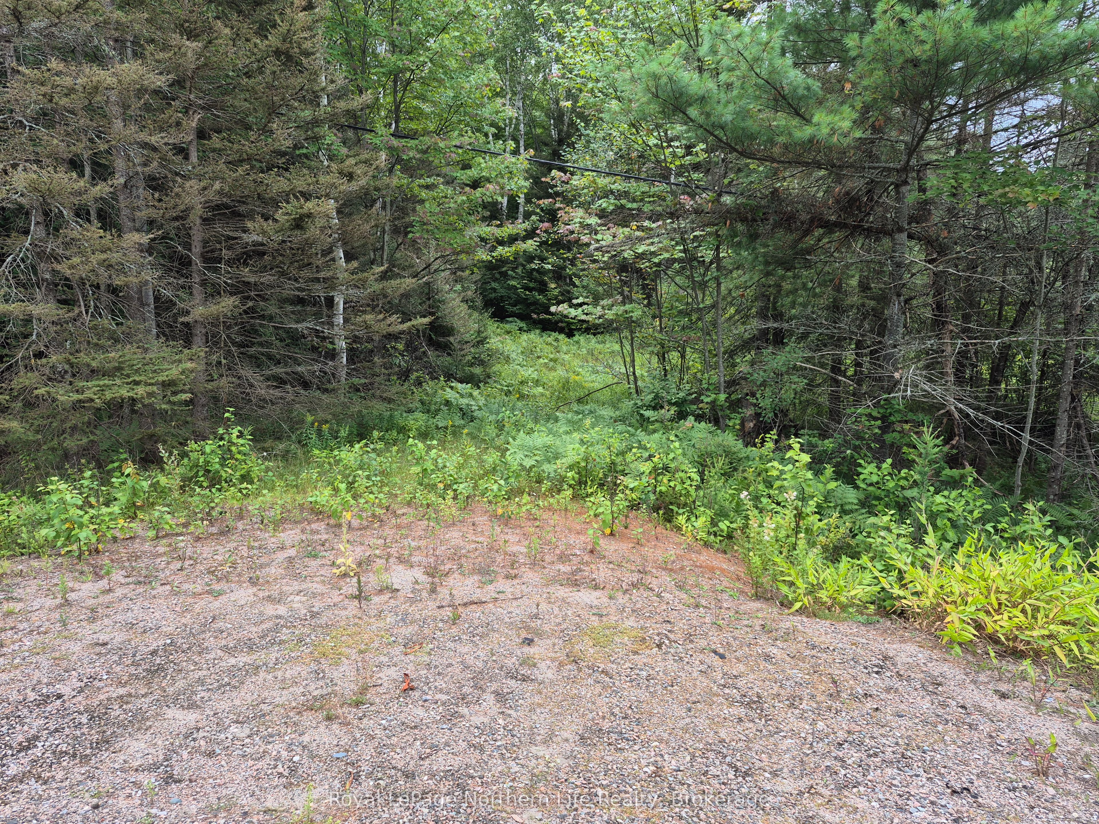 3518 HIGHWAY 17, Papineau-Cameron, ON P0H 1V0 photo 3