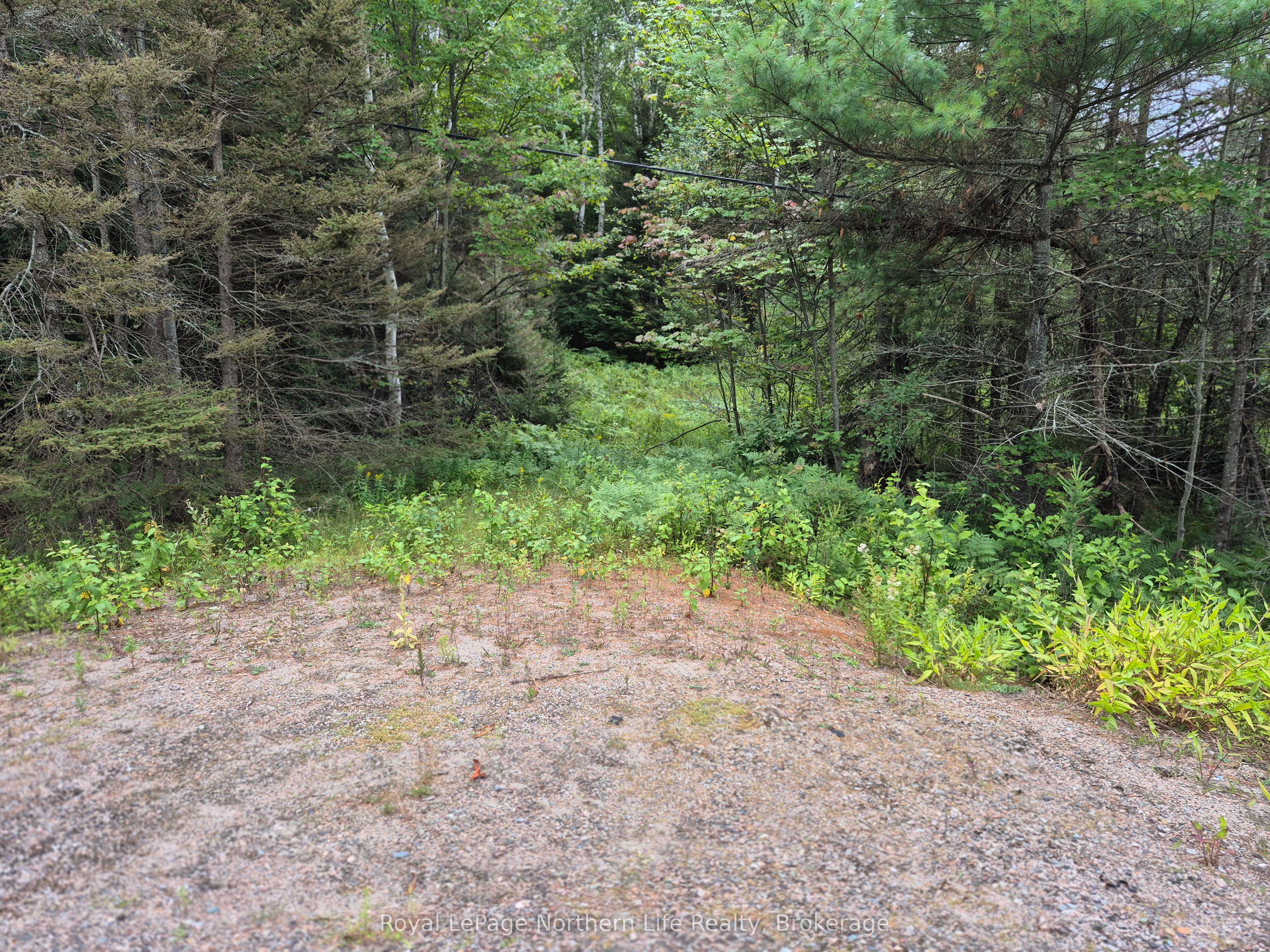 3518 HIGHWAY 17, Papineau-Cameron, ON P0H 1V0 photo 4