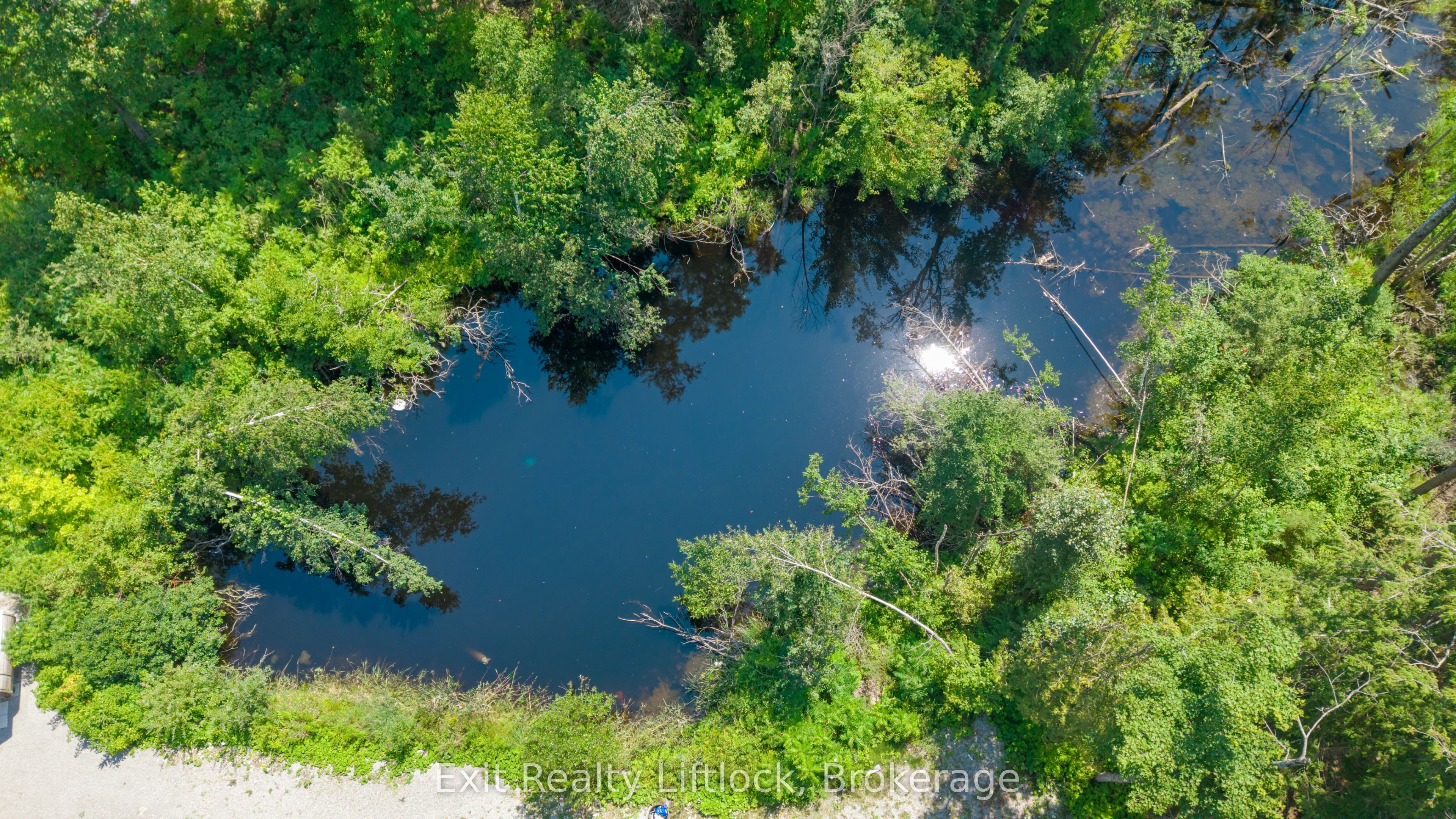 4006 County Rd 36, Trent Lakes, ON K0L 1J0 photo 5