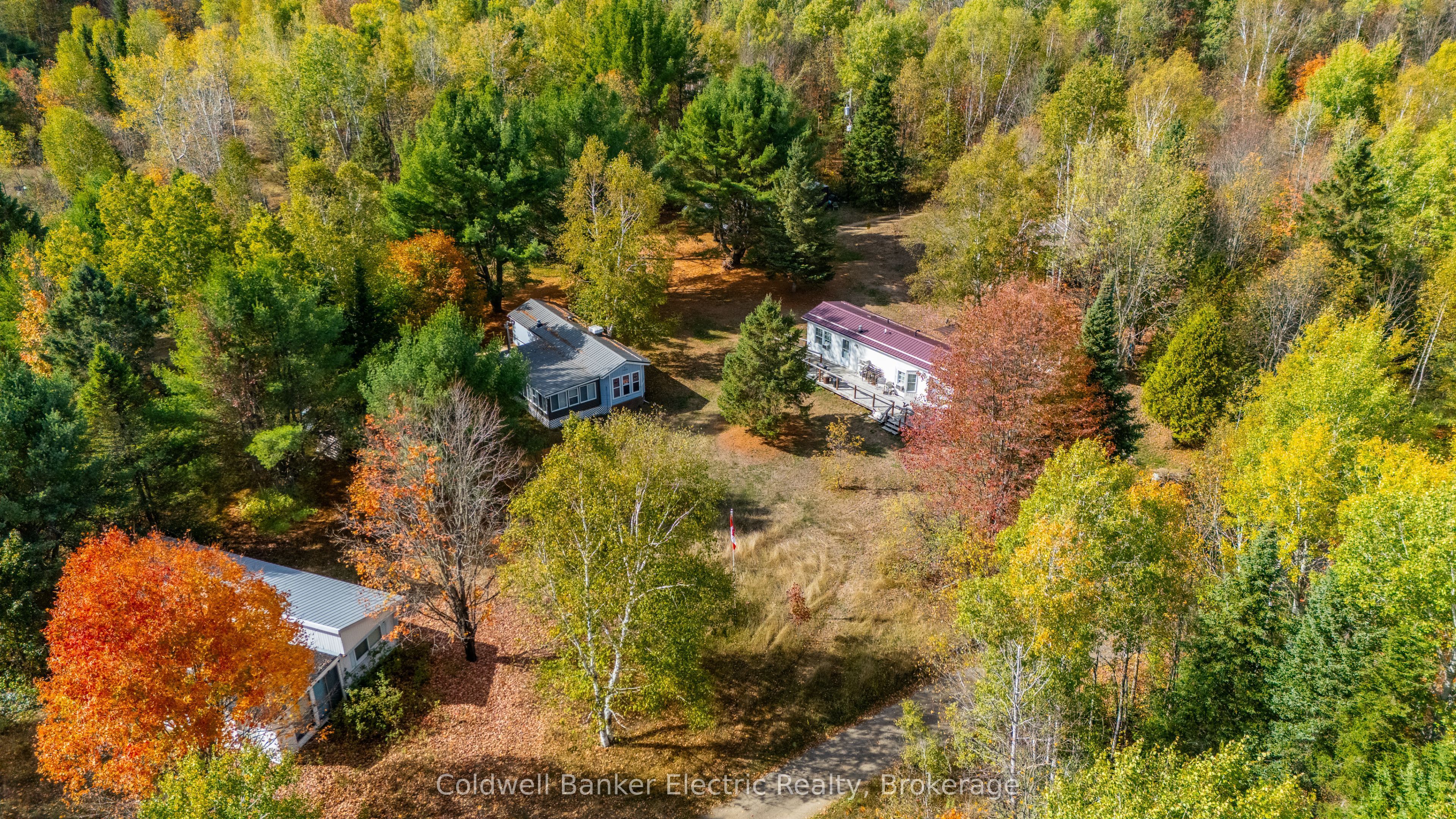 1304 Lower Monmouth Lake Road, Highlands East, ON K0L 2Y0 photo 3