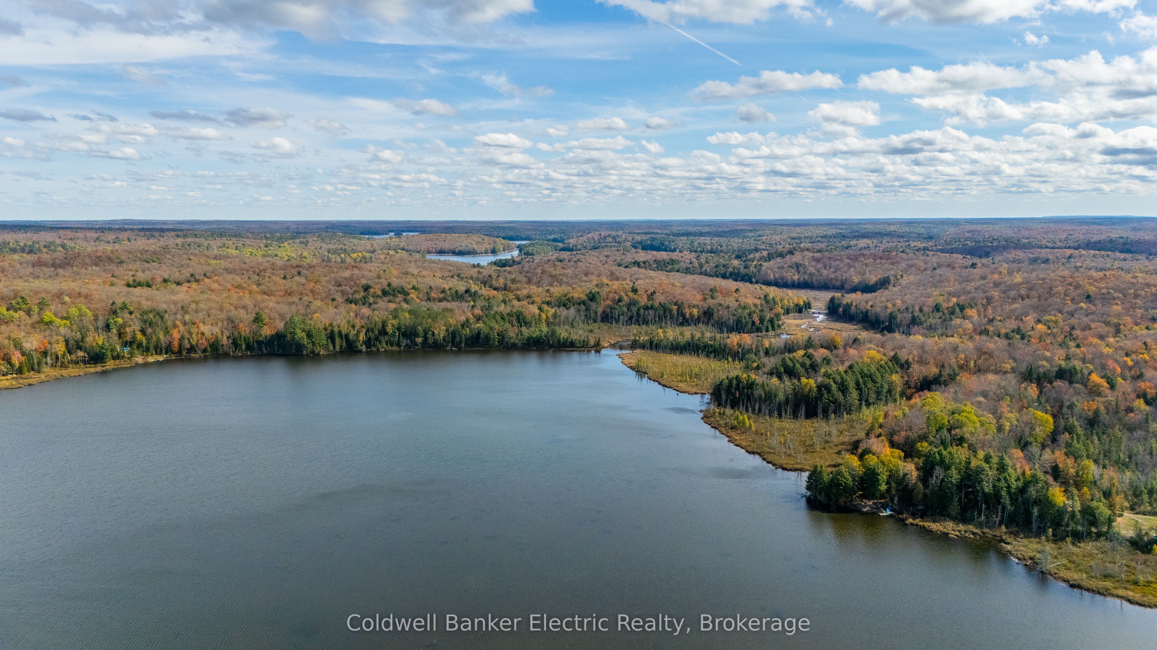 1304 Lower Monmouth Lake Road, Highlands East, ON K0L 2Y0 photo 4