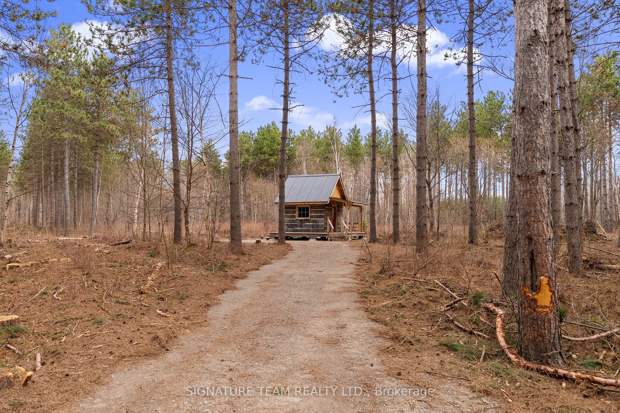 359 Dittburner Road, Whitewater Region, ON K0J 1V0 photo 5