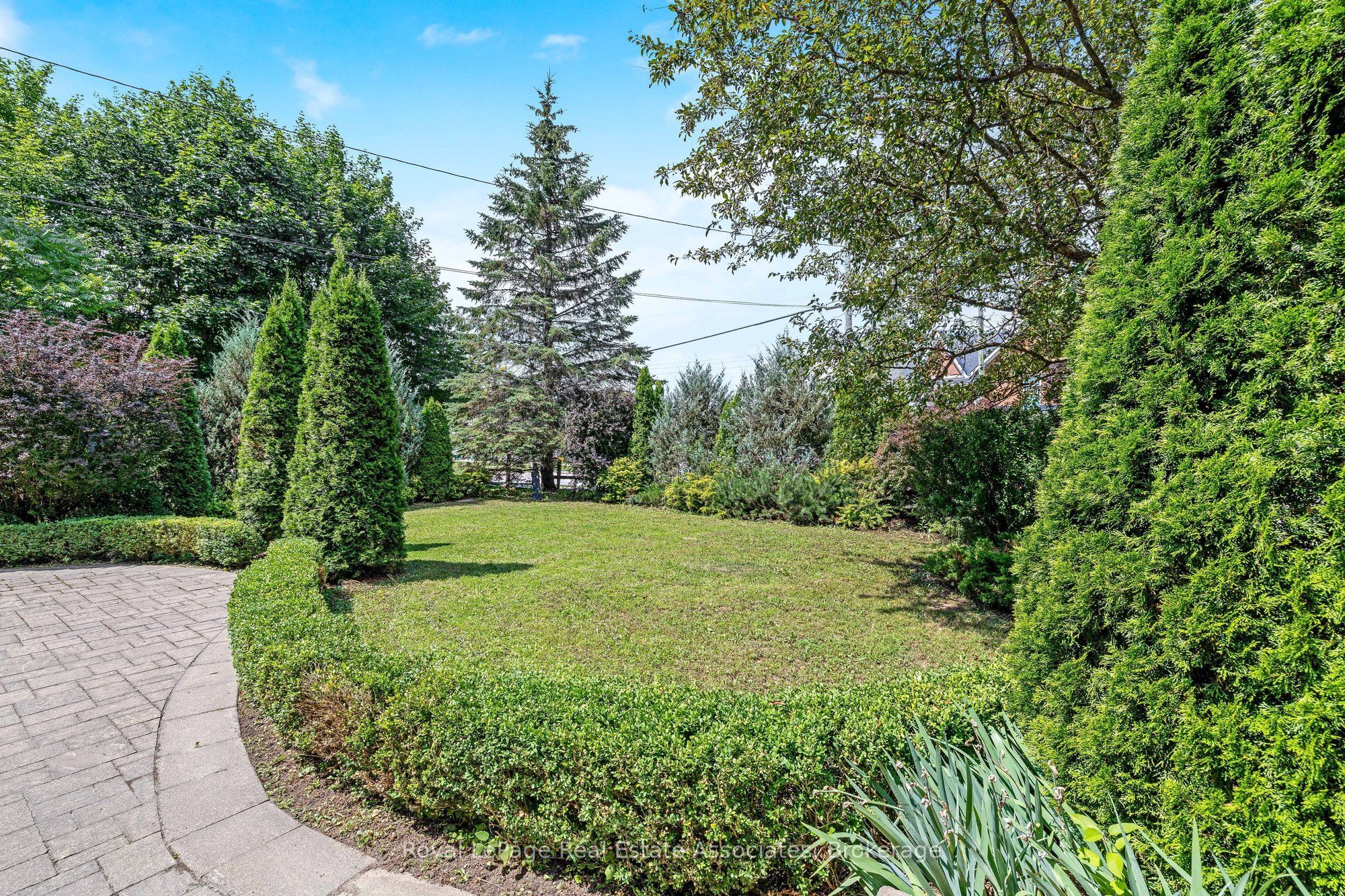 81 Main Street E, Grey Highlands, ON N0C 1H0 photo 5