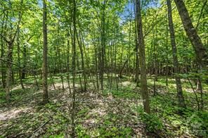 6 Rock Forest Road, Constance Bay - Dunrobin - Kilmaurs - Woodlawn, ON K0A 1T0 photo 3