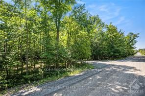 6 Rock Forest Road, Constance Bay - Dunrobin - Kilmaurs - Woodlawn, ON K0A 1T0 photo 4