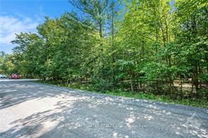 6 Rock Forest Road, Constance Bay - Dunrobin - Kilmaurs - Woodlawn, ON K0A 1T0 photo 5