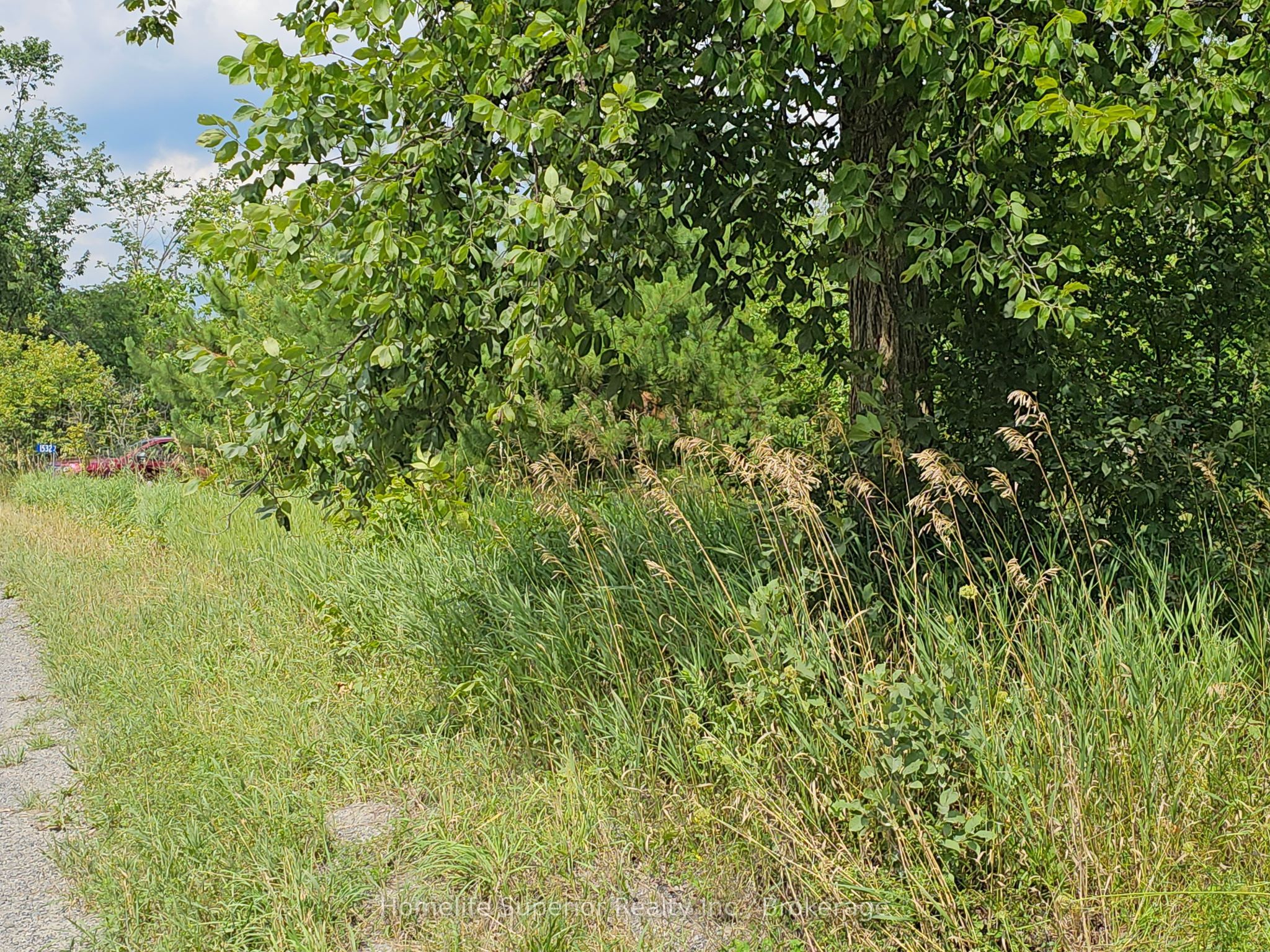 1532 O'Hara Road, Madoc, ON K0K 2K0 photo 3