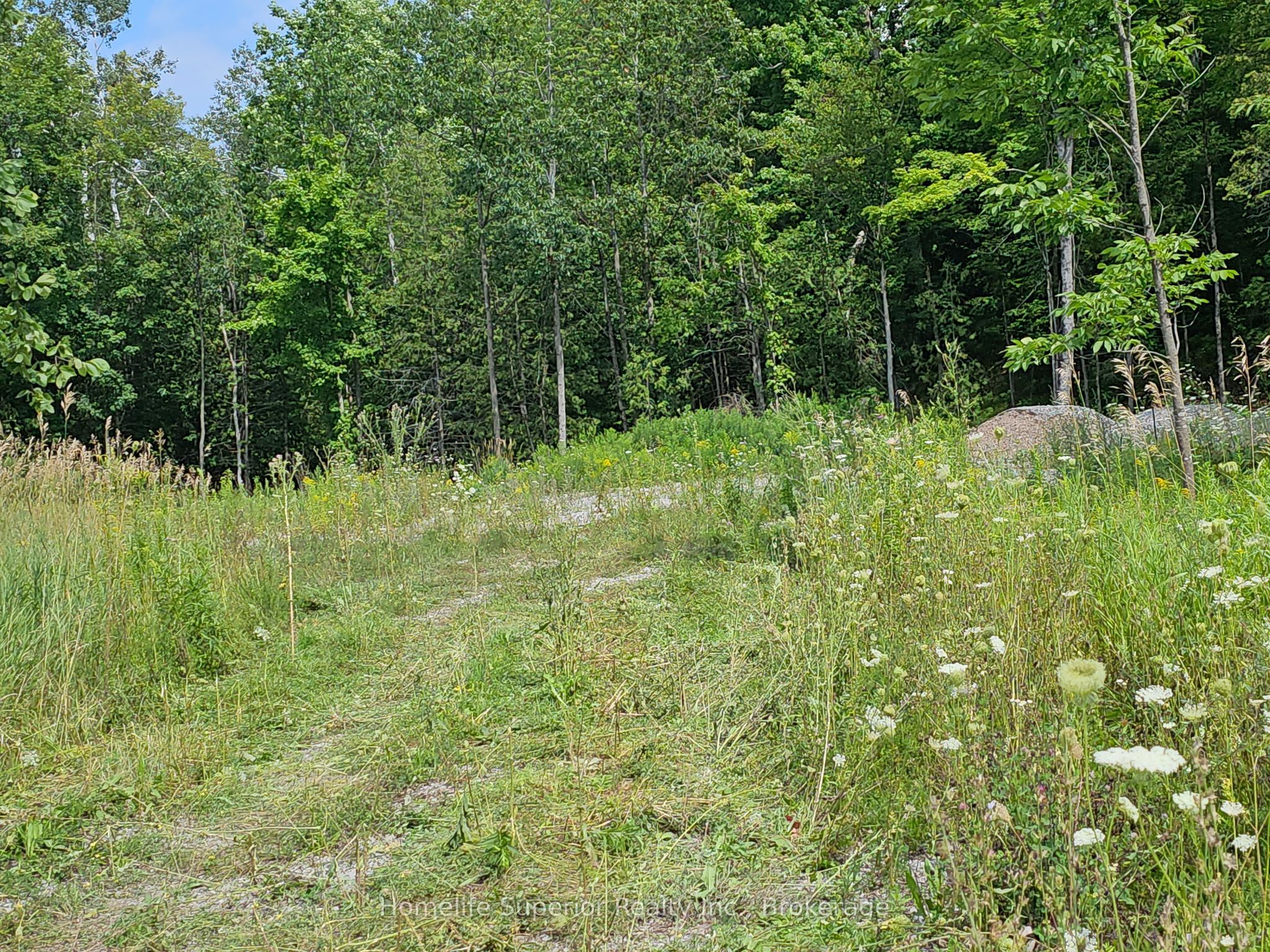 1532 O'Hara Road, Madoc, ON K0K 2K0 photo 4