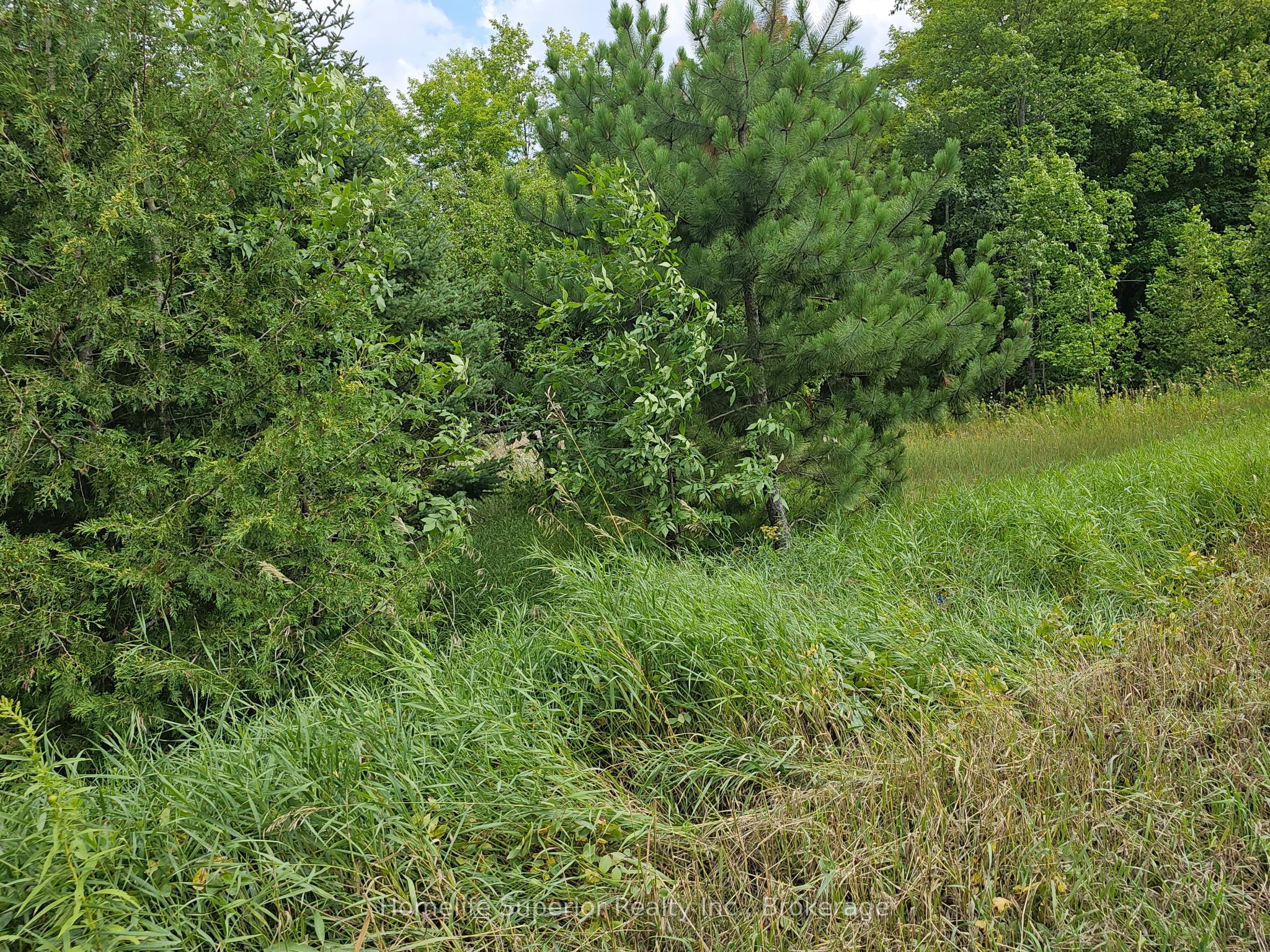 1532 O'Hara Road, Madoc, ON K0K 2K0 photo 5
