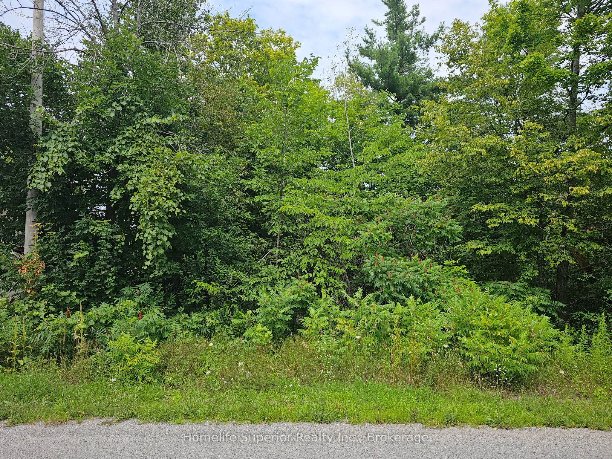 0 Con 11, Trent Hills, ON K0L 1Y0 photo 2