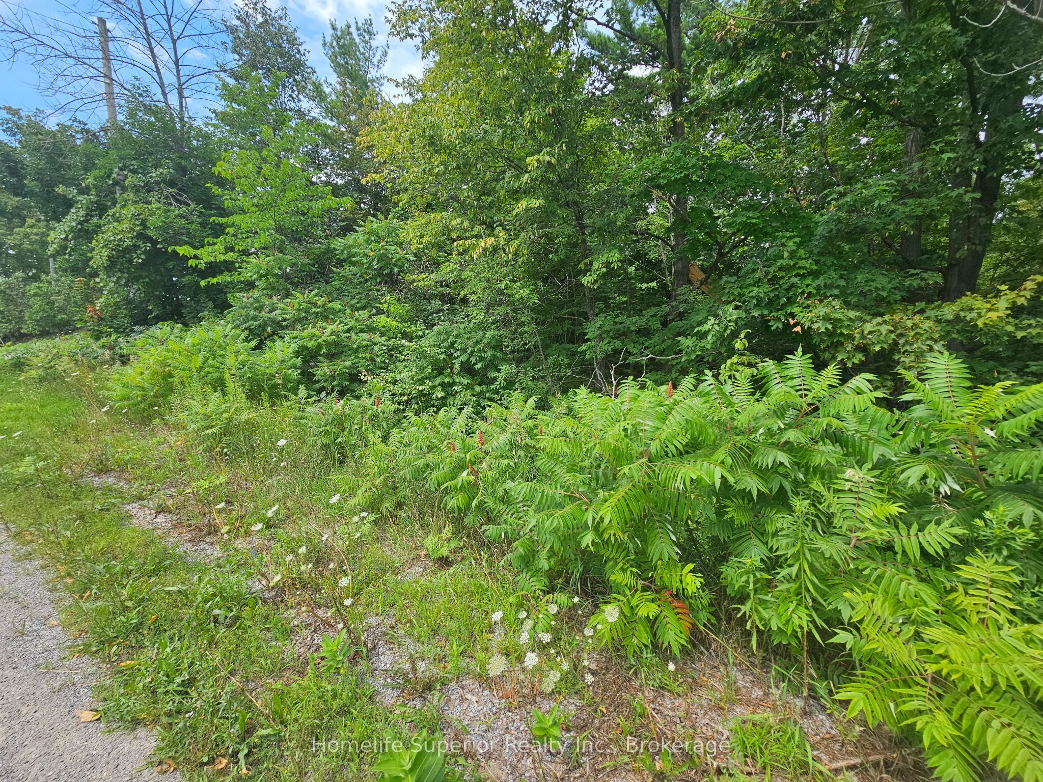 0 Con 11, Trent Hills, ON K0L 1Y0 photo 3