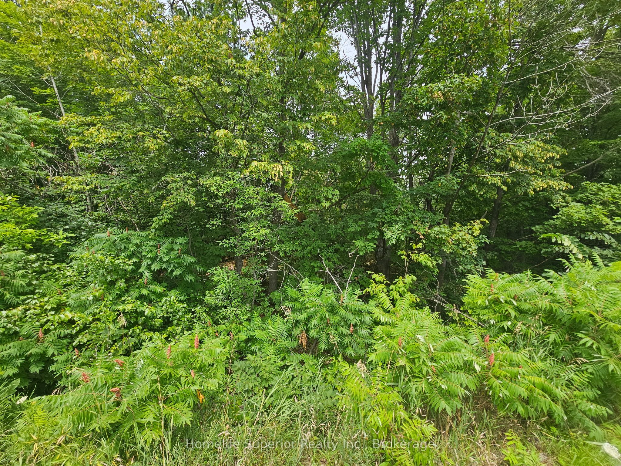 0 Con 11, Trent Hills, ON K0L 1Y0 photo 4