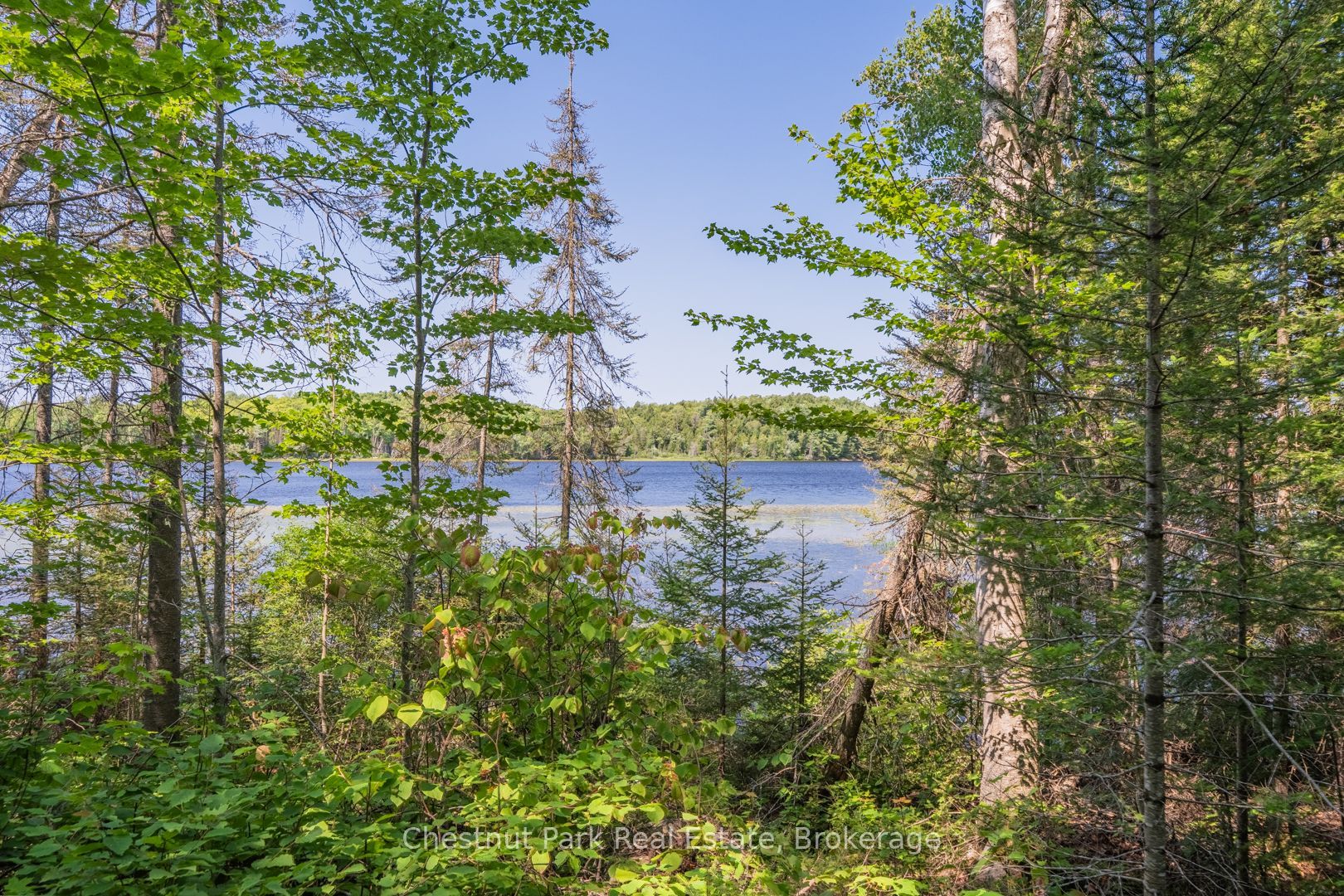 Part 8,9,10 Pool Lake Con 2 Pt Lot 19 RP 42R18158, Strong, ON P0A 1Z0 photo 3