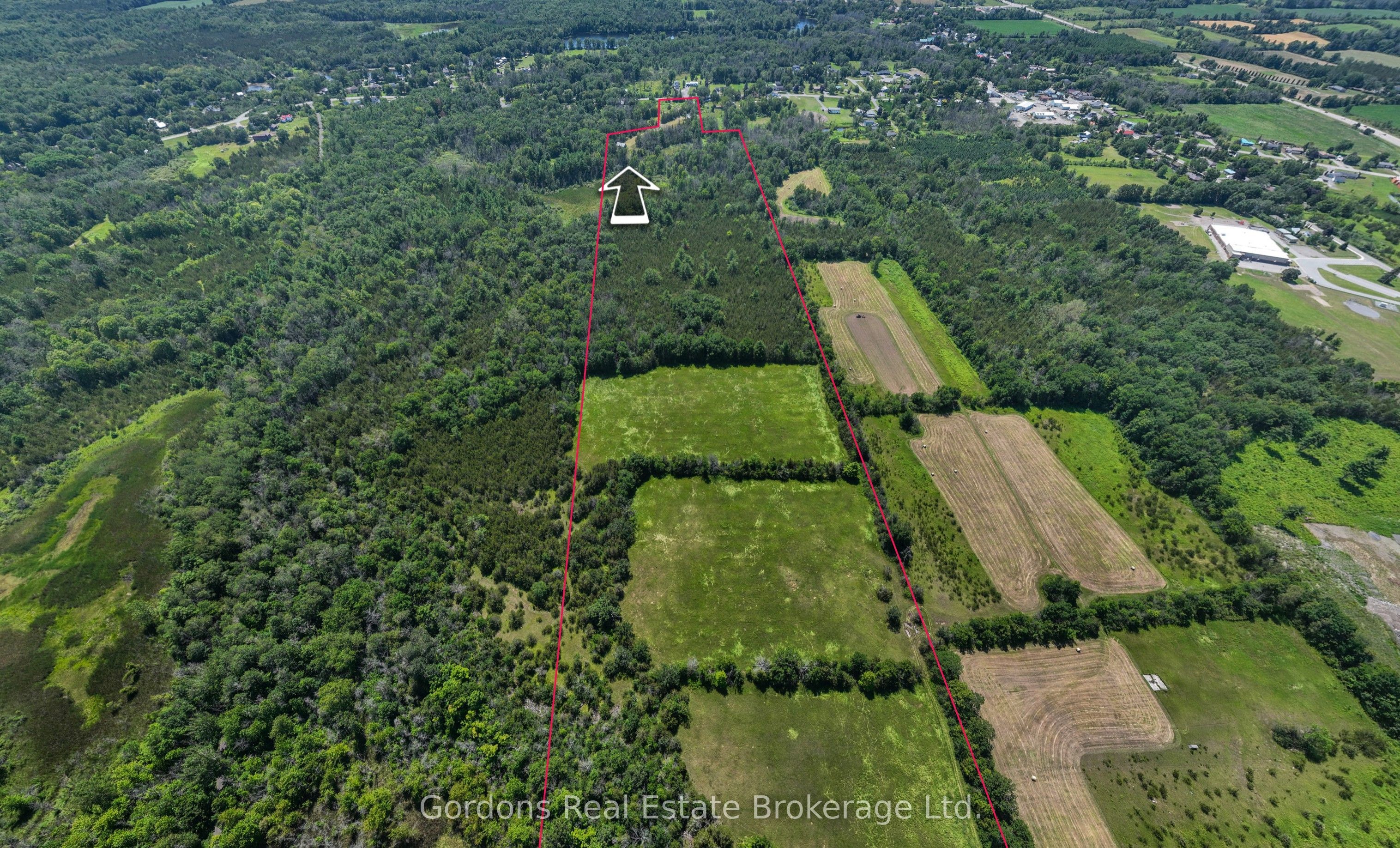 137 Mudcat Road, Belleville, ON K0K 2B0 photo 4