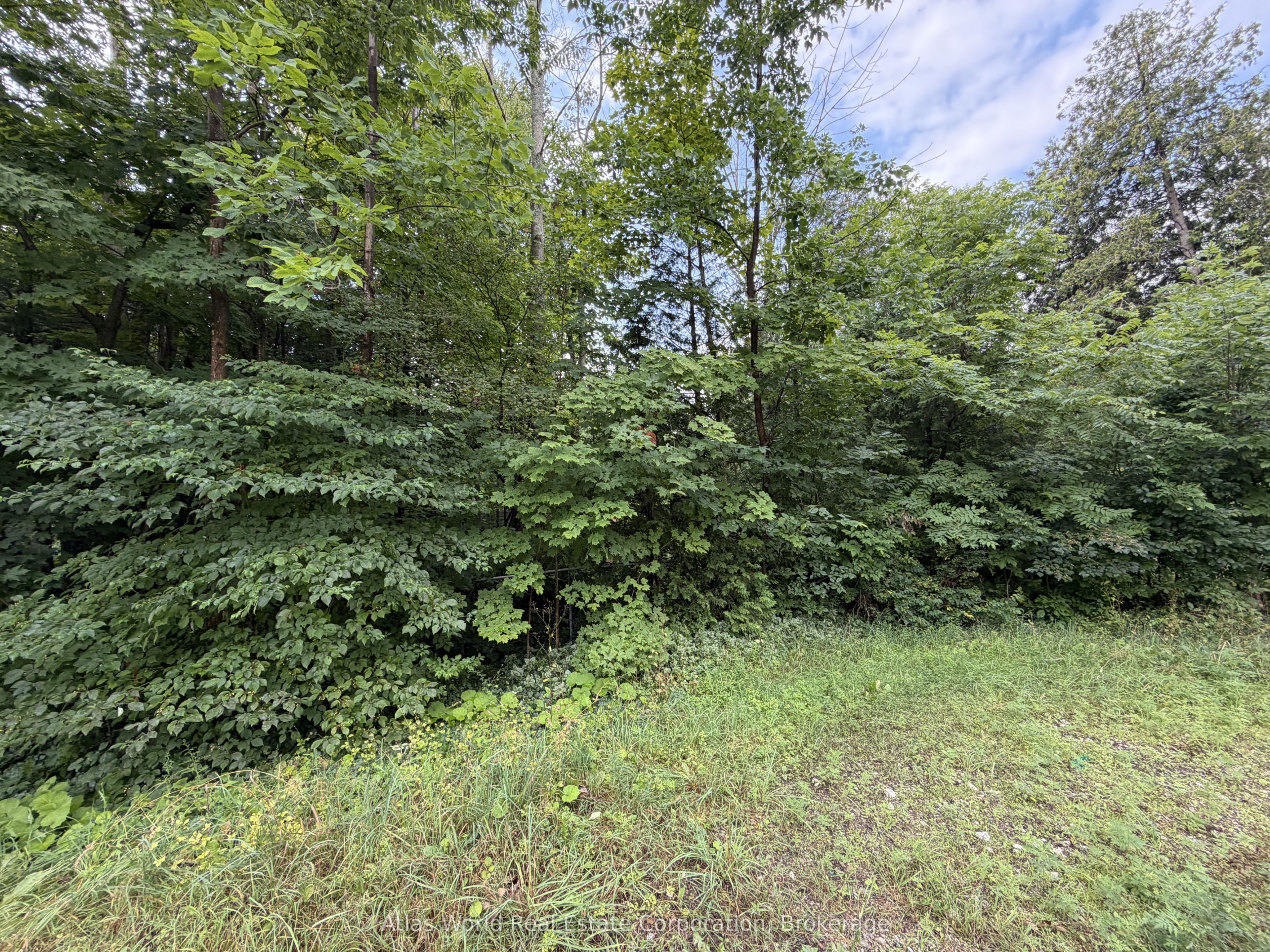 23 Front Street, South Bruce Peninsula, ON N0H 2T0 photo 2
