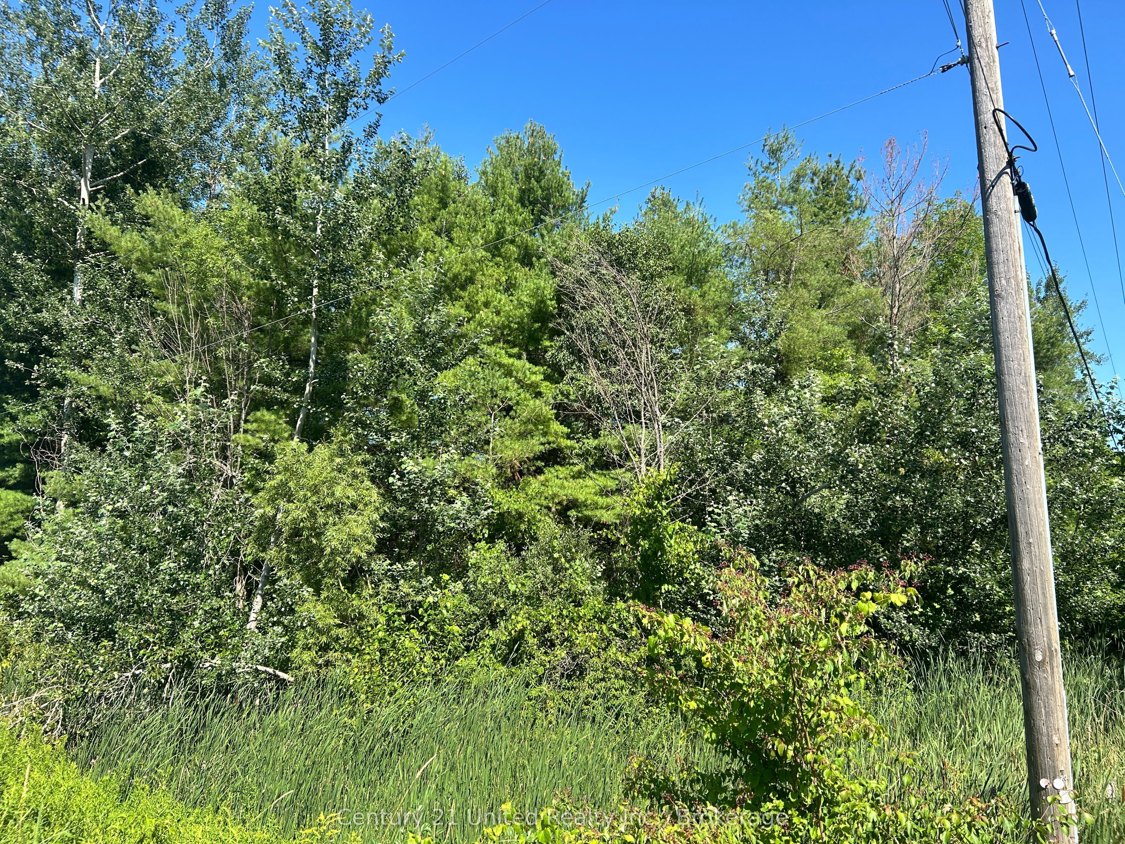 0 Concession Rd 4 W, Trent Hills, ON K0K 3K0 photo 2