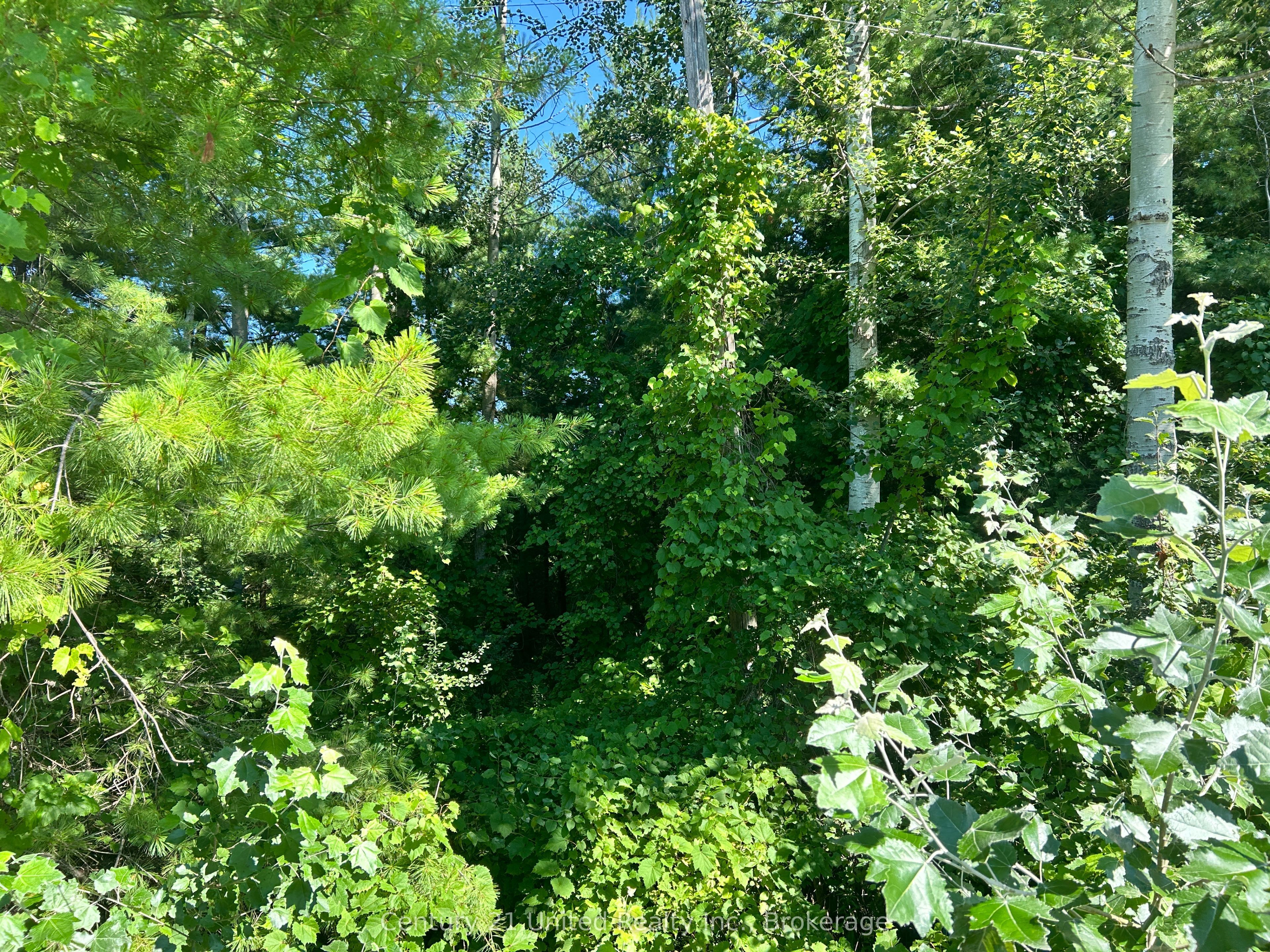 0 Concession Rd 4 W, Trent Hills, ON K0K 3K0 photo 3