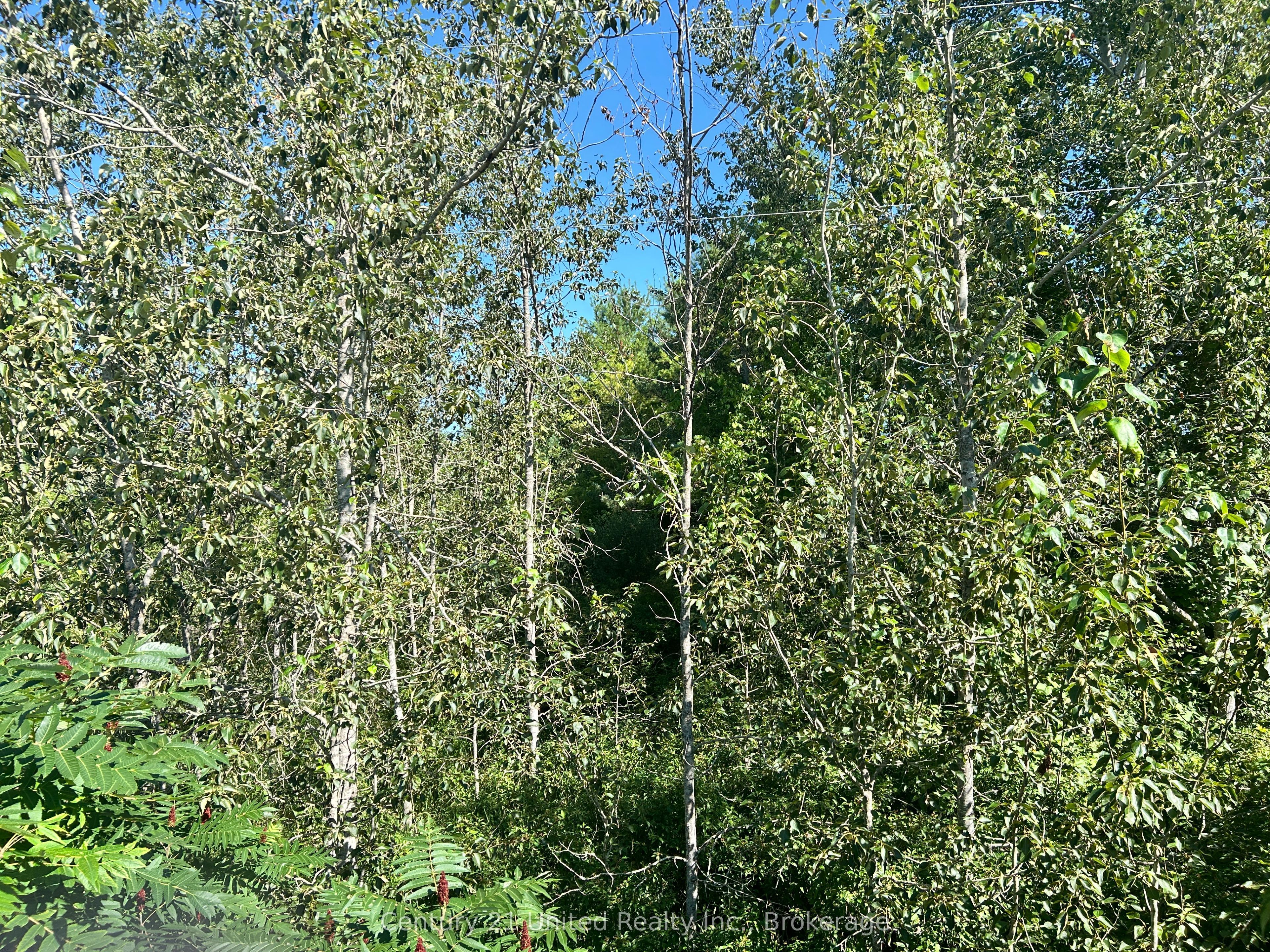 0 Concession Rd 4 W, Trent Hills, ON K0K 3K0 photo 4