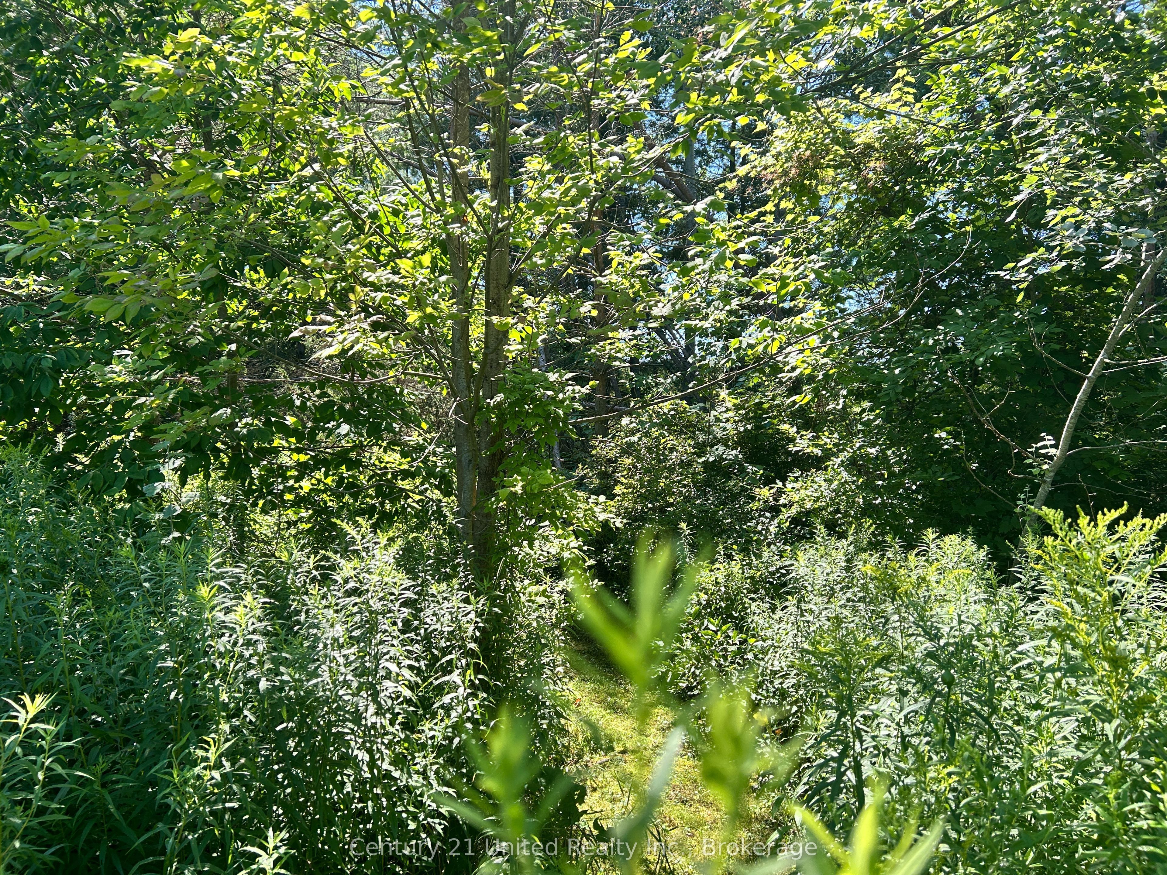 0 Concession Rd 4 W, Trent Hills, ON K0K 3K0 photo 5