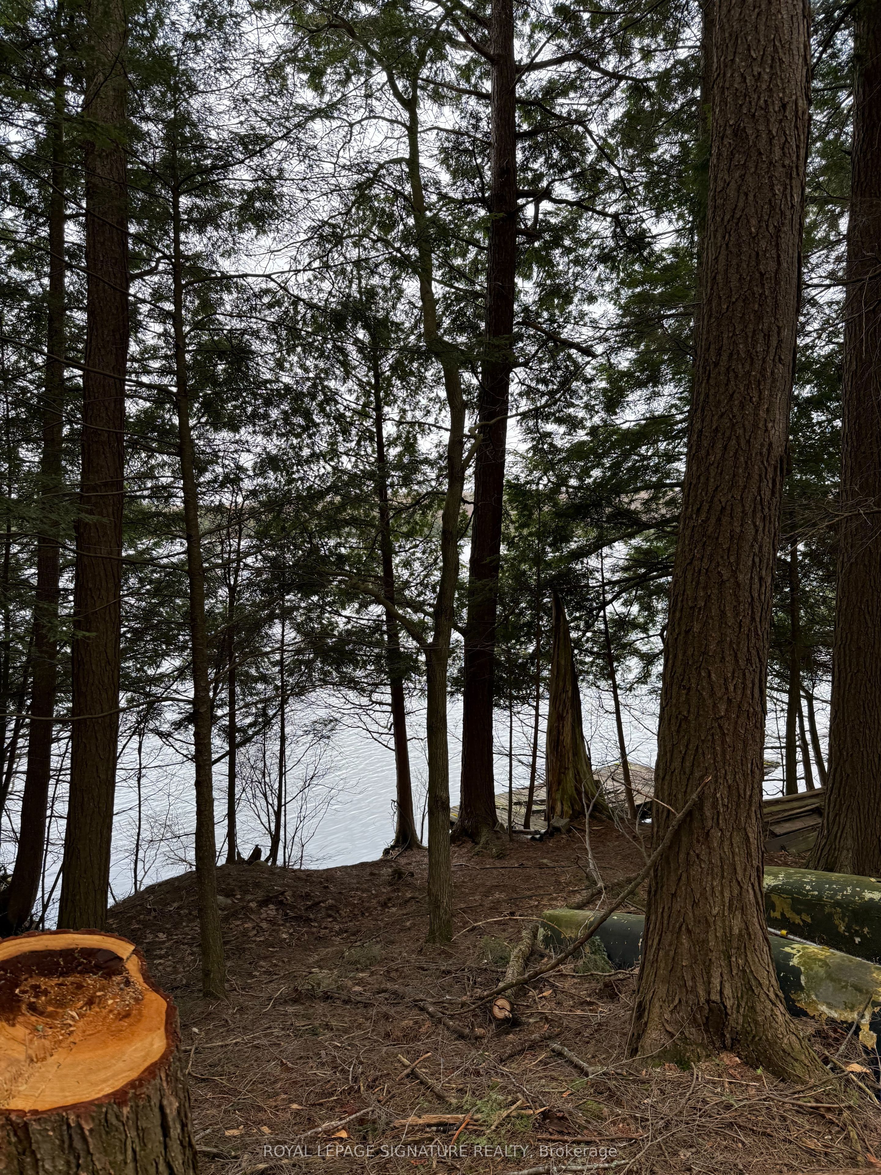 1072 Sands Road, Muskoka Lakes, ON P0B 1G0 photo 2