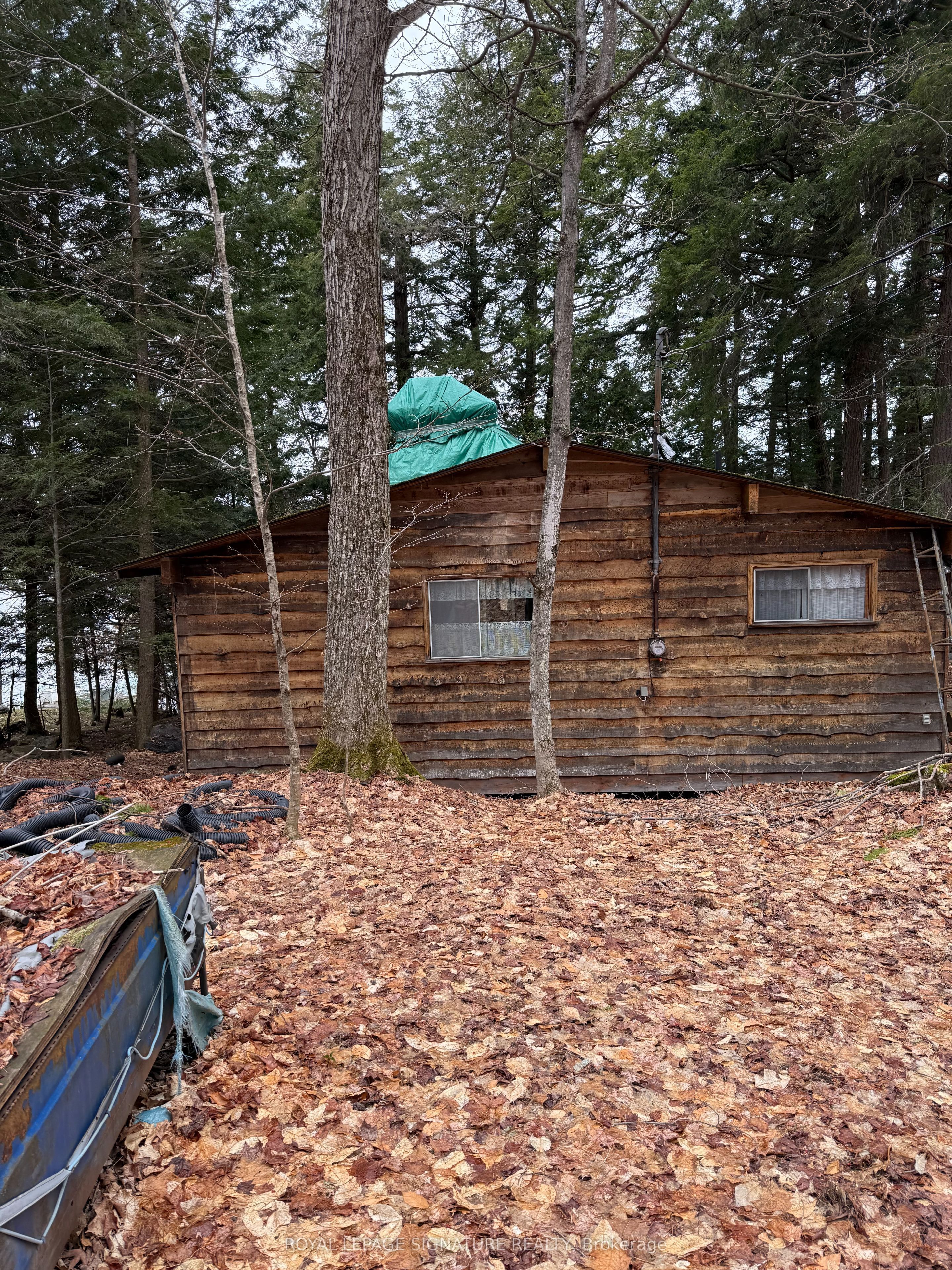 1072 Sands Road, Muskoka Lakes, ON P0B 1G0 photo 3