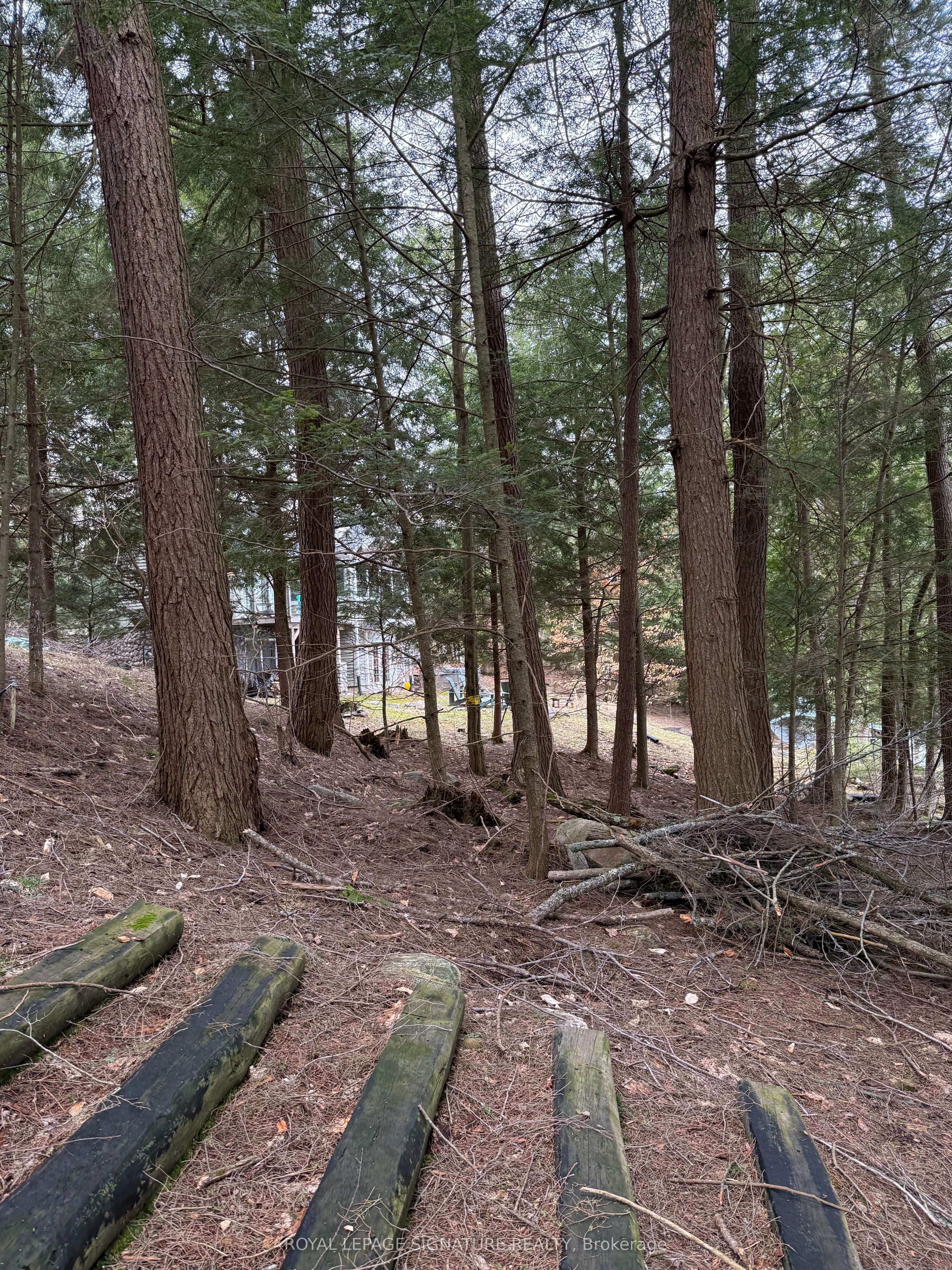 1072 Sands Road, Muskoka Lakes, ON P0B 1G0 photo 4