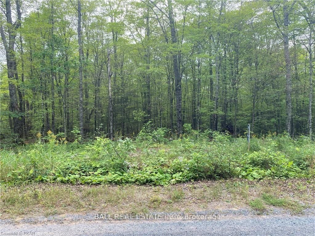 N/A PCL 45-2 SEC M63 Road, Marmora and Lake, ON K0L 1P0 photo 3
