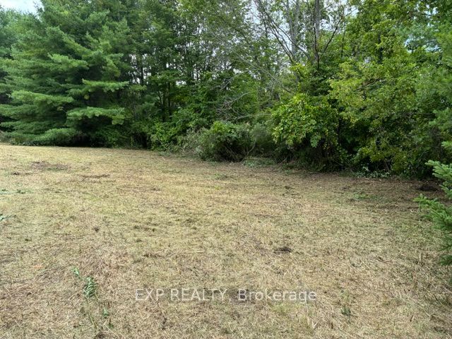 Lot 5 & 6 RP 18 Noonan Road, Alderville First Nation, ON K0K 3K0 photo 2