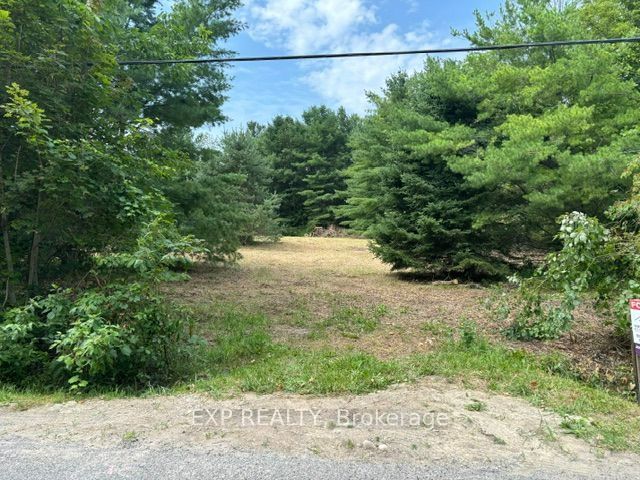 Lot 5 & 6 RP 18 Noonan Road, Alderville First Nation, ON K0K 3K0 photo 3