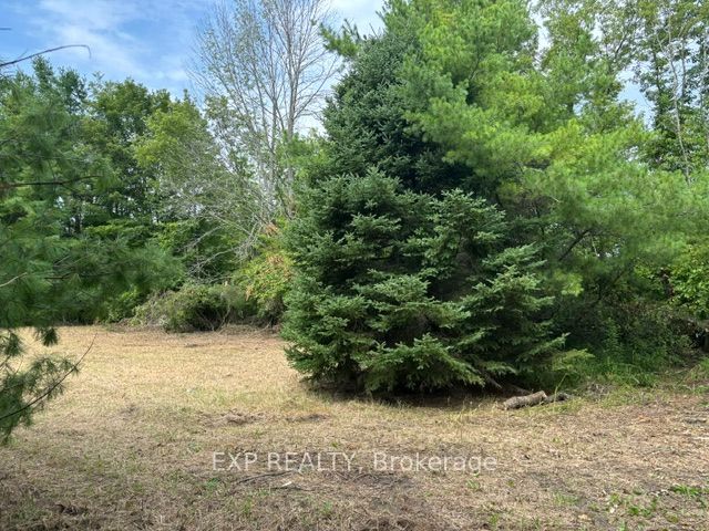 Lot 5 & 6 RP 18 Noonan Road, Alderville First Nation, ON K0K 3K0 photo 4
