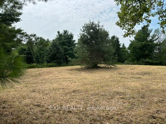 Lot 5 & 6 RP 18 Noonan Road, Alderville First Nation, ON K0K 3K0 photo 5