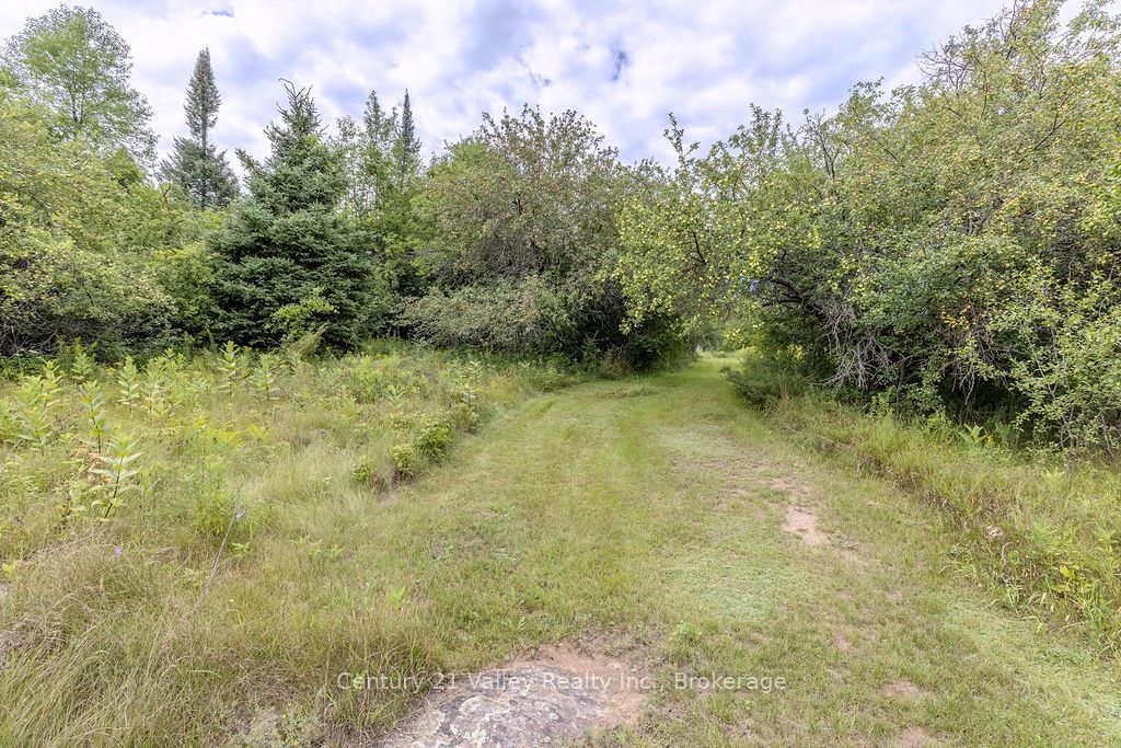 290 Pucker Street, Renfrew, ON K7V 3Z9 photo 2