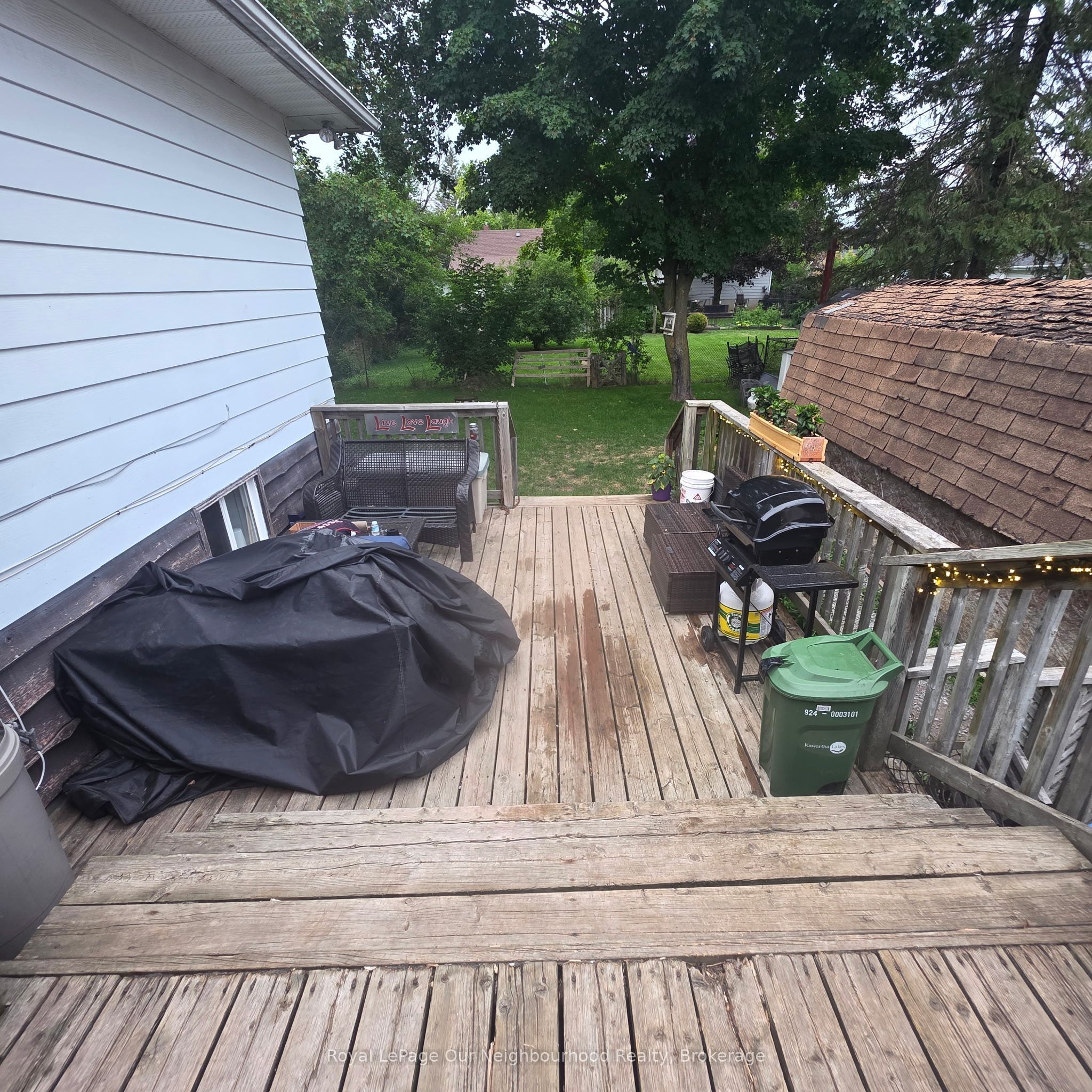 14 Pottinger Street Main, Kawartha Lakes, ON K9V 3X4 photo 4